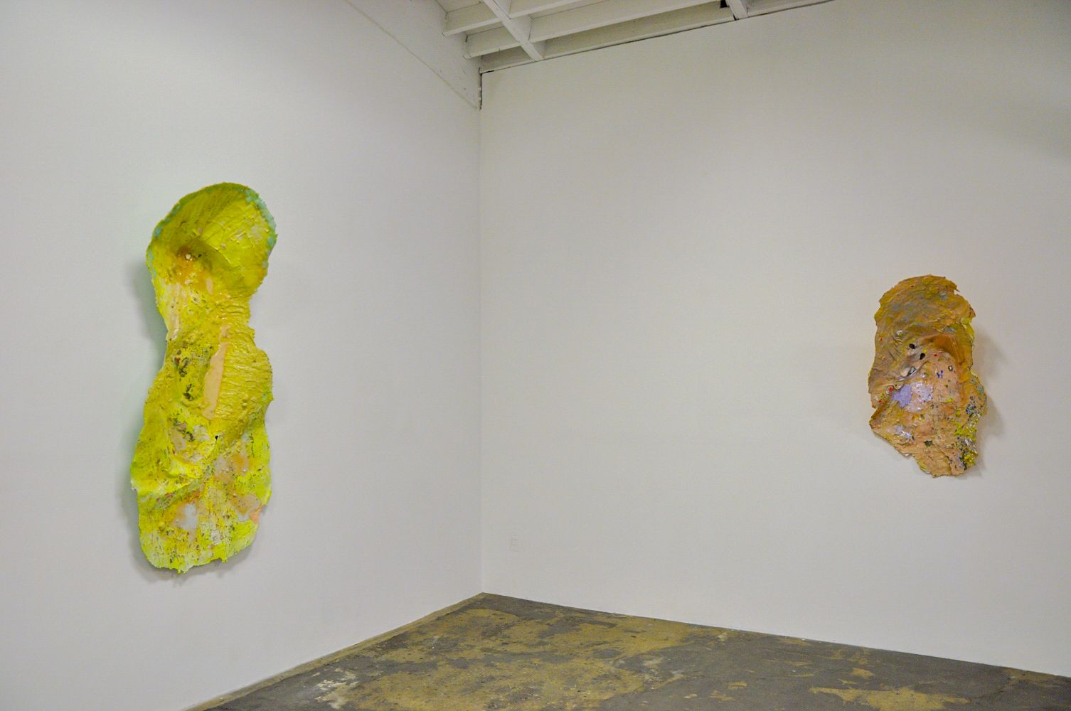 Laura Soto, Flesh and Flood at Museum as Retail Space, photo 6