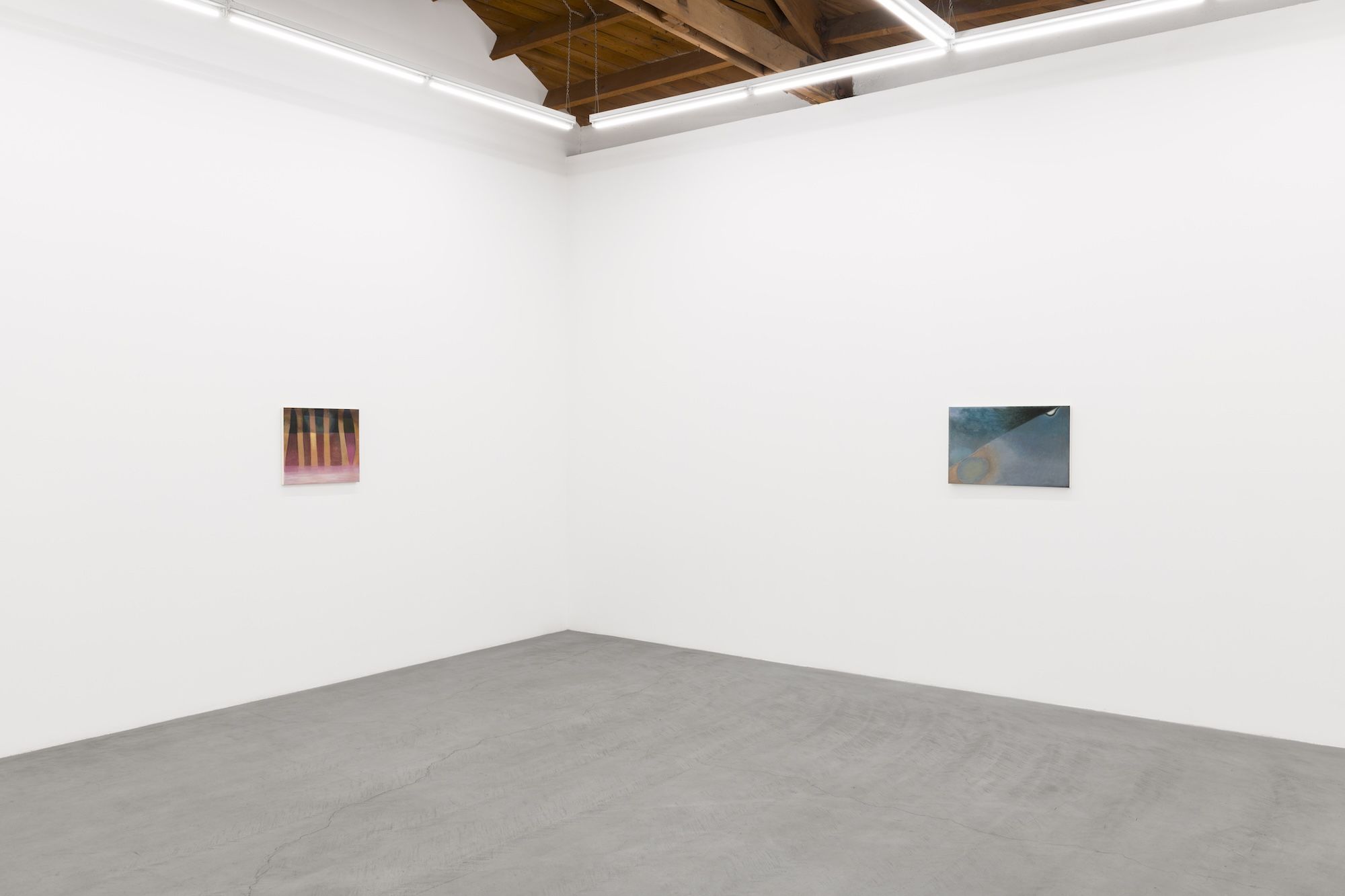 Kristy Luck, Ground for Assumptions at Parrasch Heijnen, photo 5