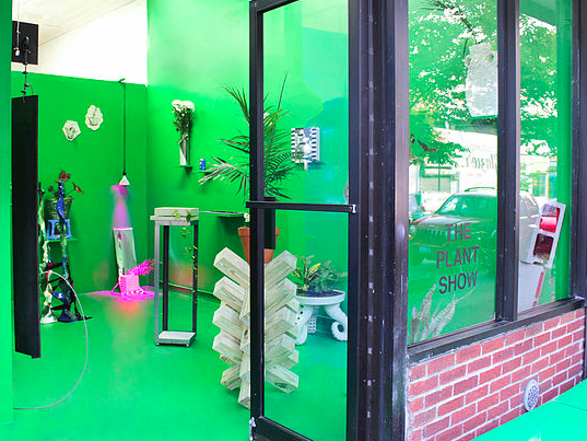 The Plant Show, The Plant Show at 99¢ Plus Gallery, photo 3