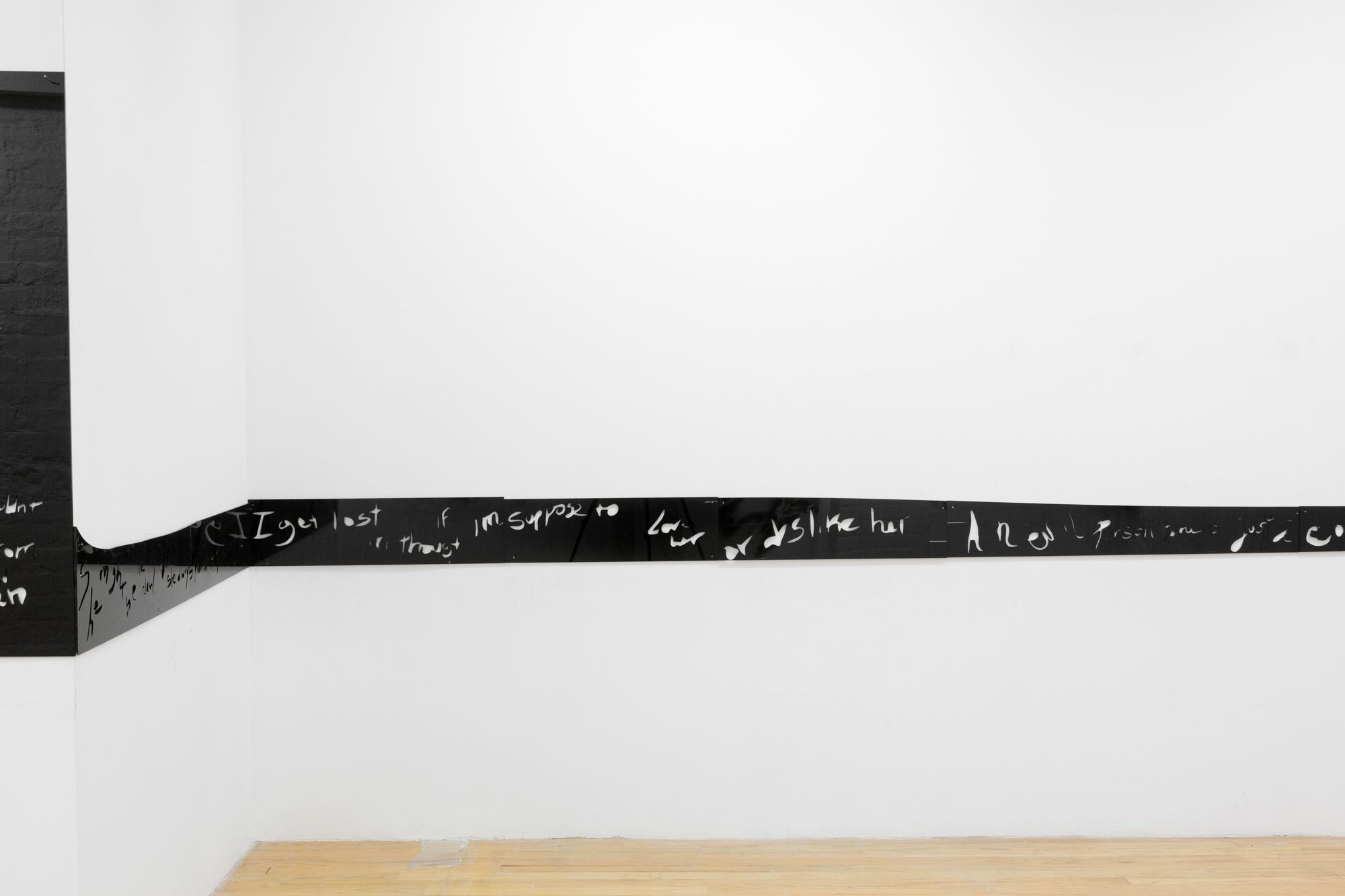 Raque Ford, 6 Obsessions at 321 Gallery, photo 2