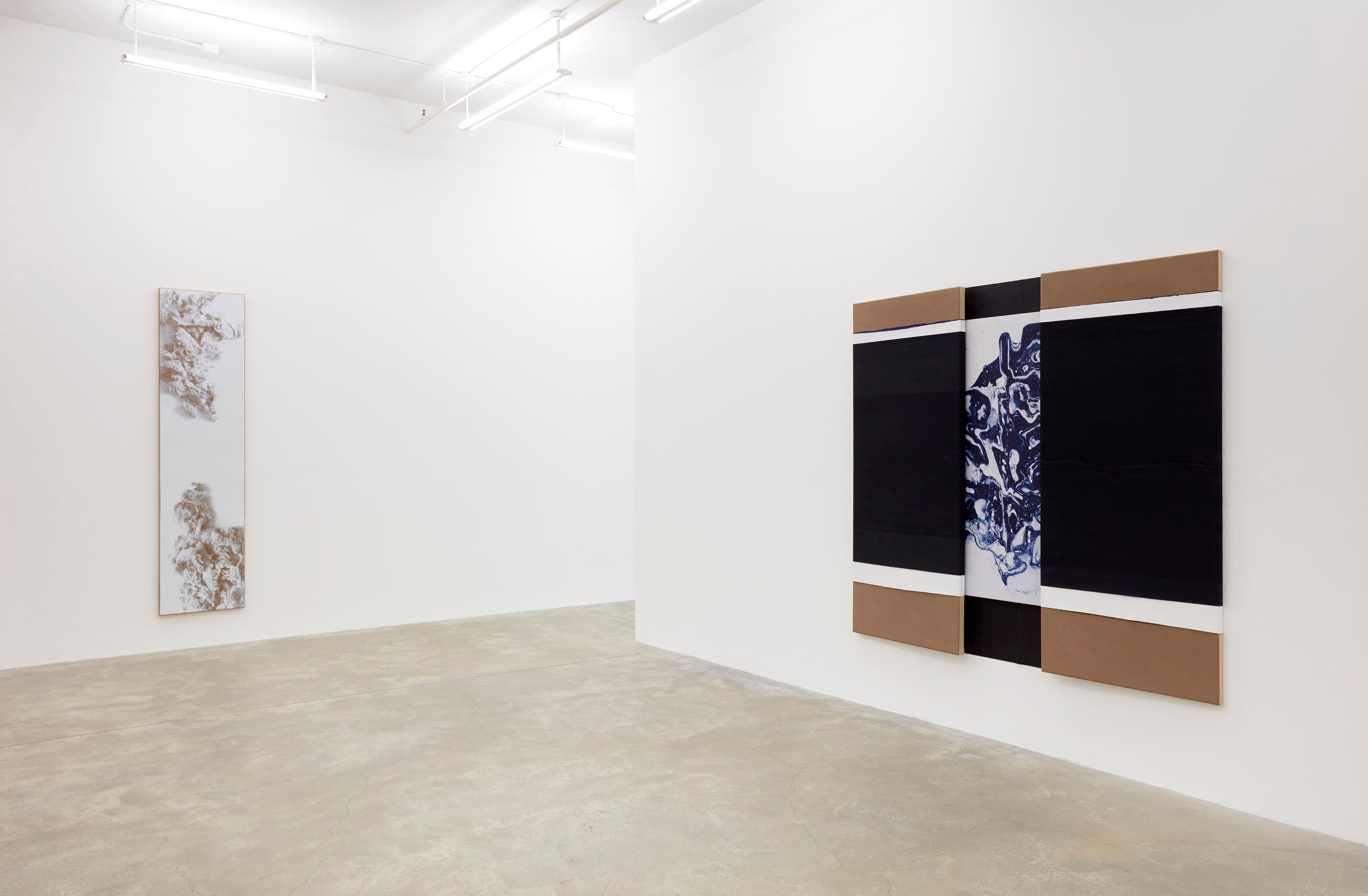 N. Dash, N. Dash at Casey Kaplan, photo 13