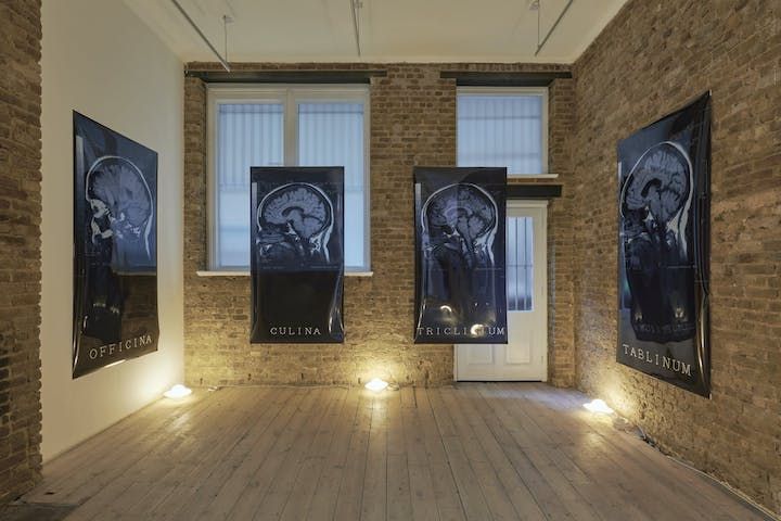 Vivian Lynn, Spin at Phillida Reid, photo 6