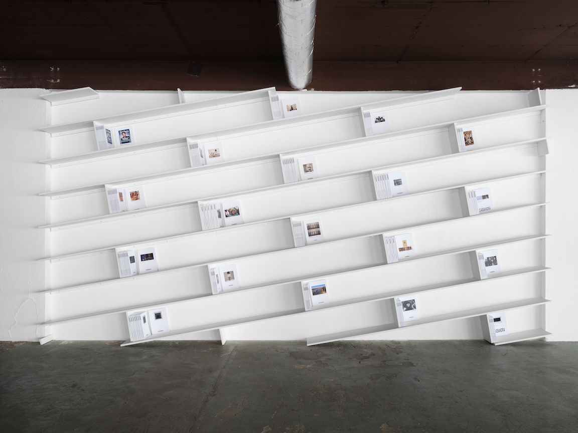 Kandis Williams, A Summary: Cassandra Press Impact Report at Heidi, photo 3