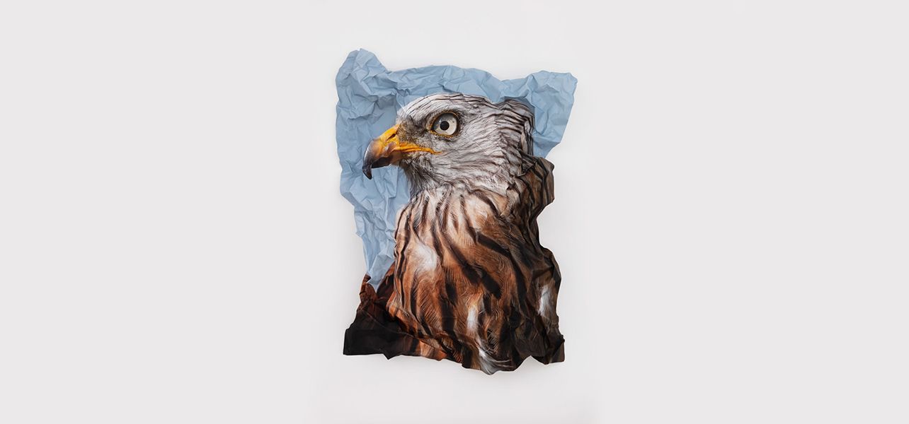 Marcus Coates, Between Stories at Kate MacGarry, photo 2