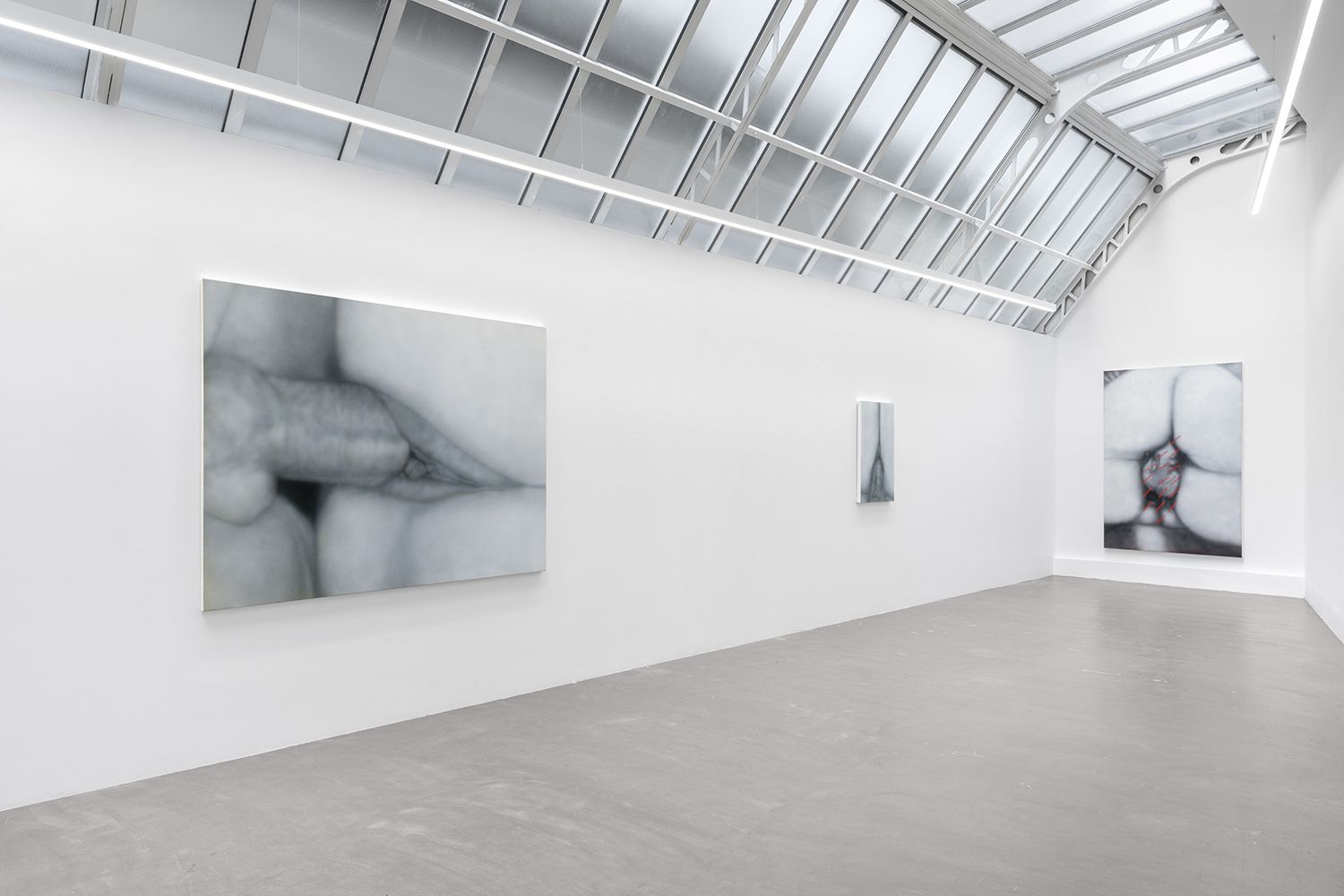 Betty Tompkins, Sex Paintings at Bremond Capela, photo 2