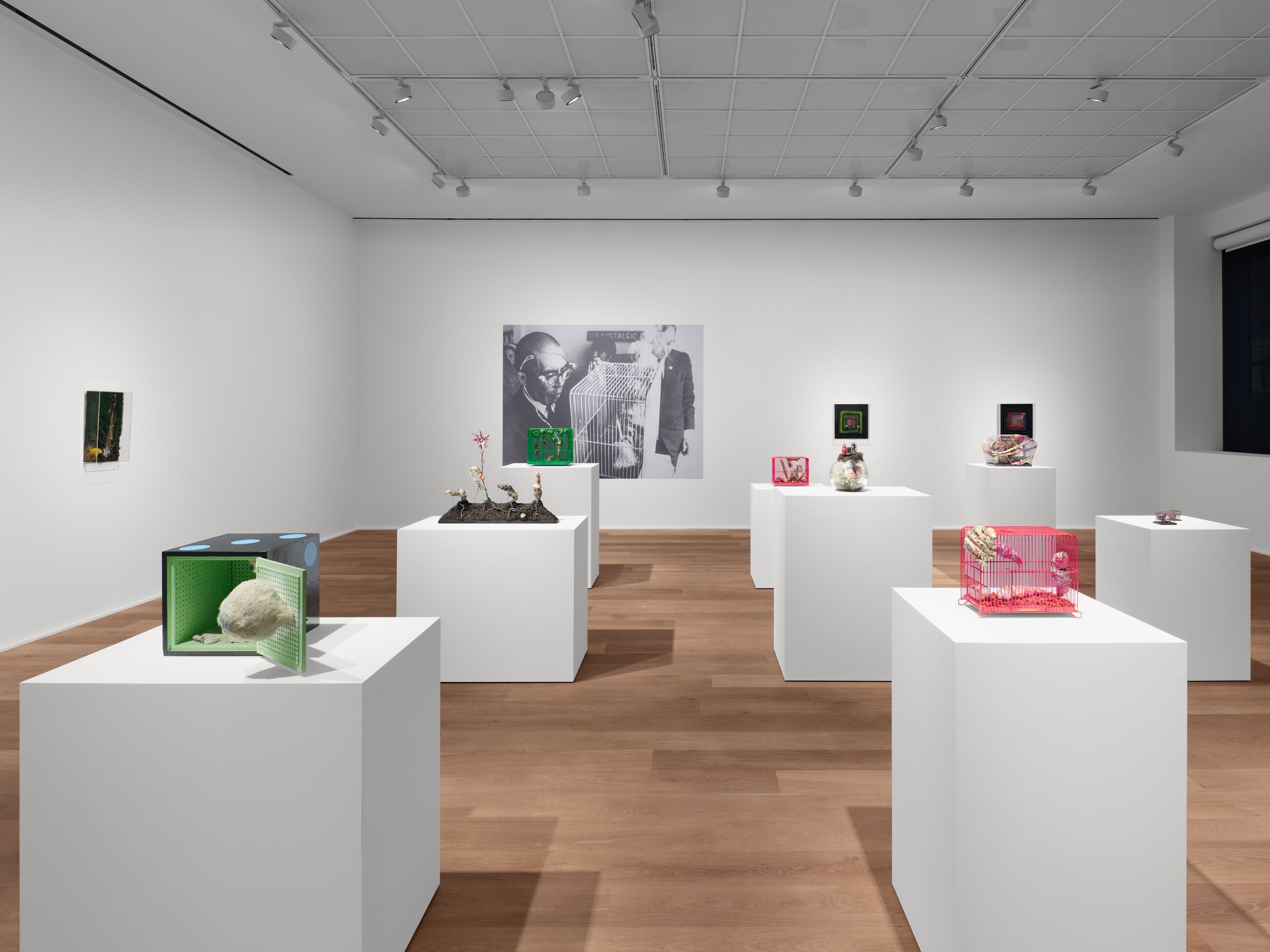 Tetsumi Kudo, Microcosms at Hauser & Wirth, photo 3