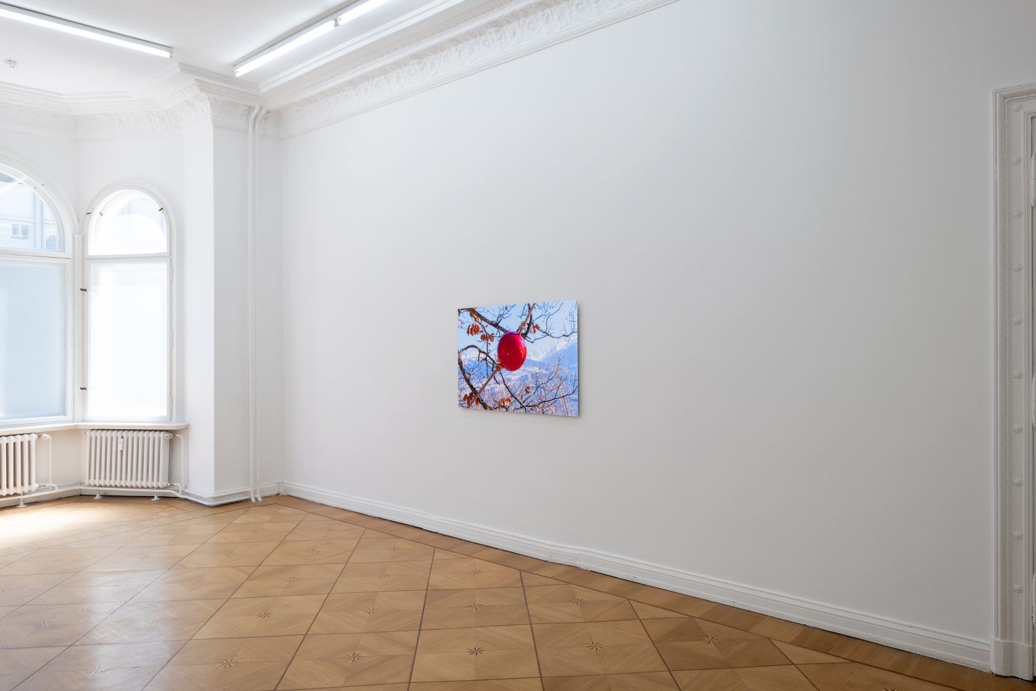 Kaspar Müller, Why Always Me? at Société, photo 2