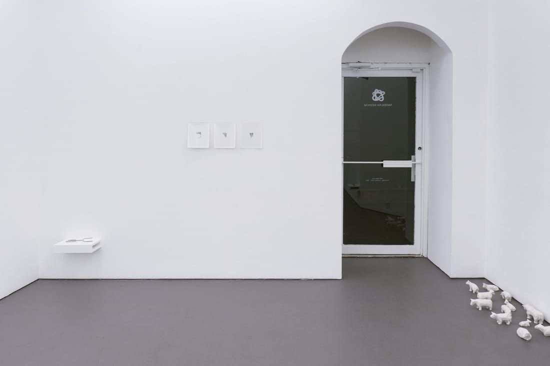 A Pattern Withdrawn, A Pattern Withdrawn at American Medium, photo 5