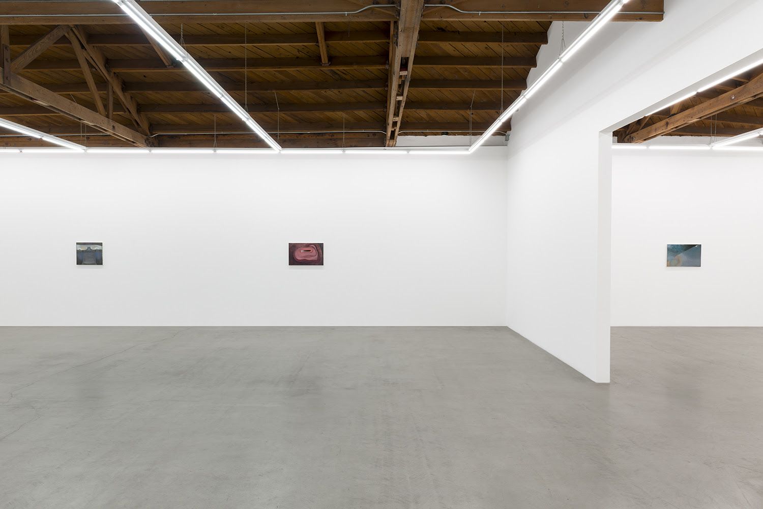 Kristy Luck, Ground for Assumptions at Parrasch Heijnen, photo 6