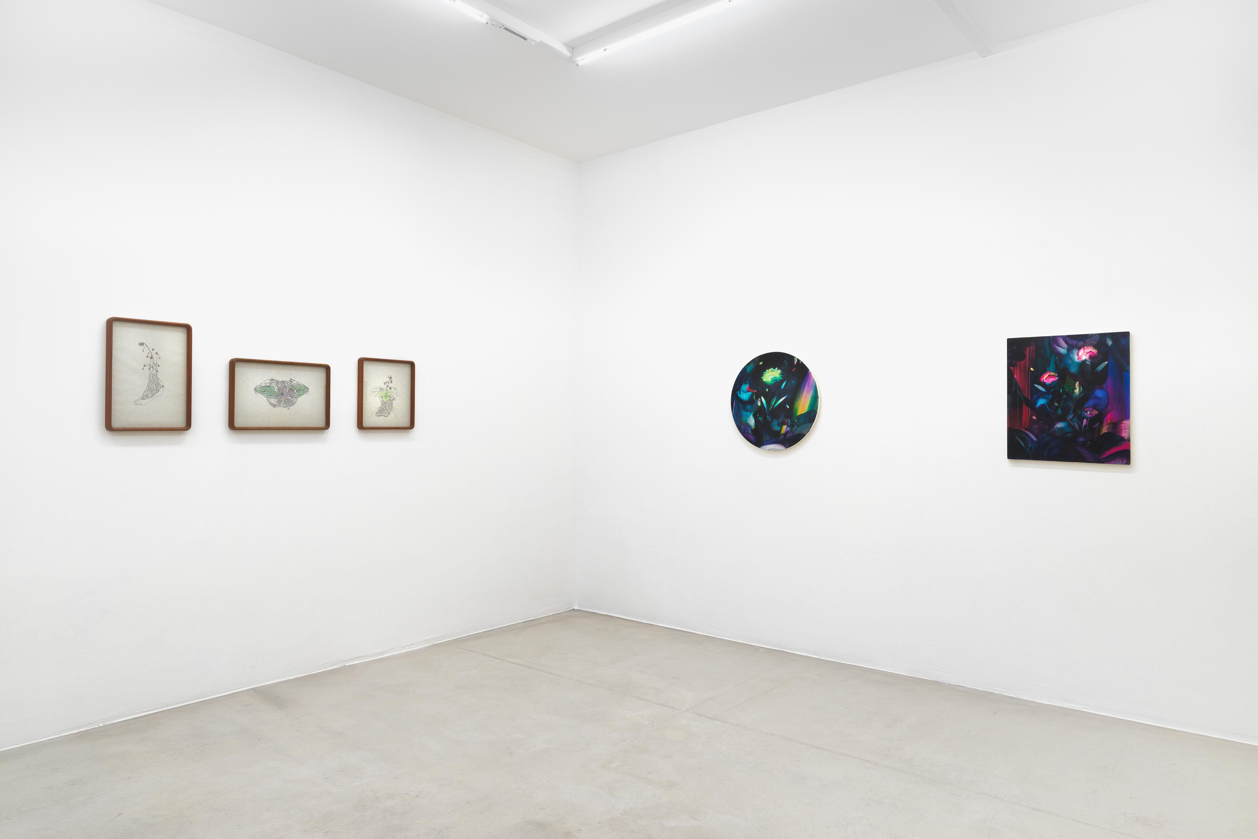Here and There and Back Again: Japanese Art 1964 – 2024, Here and There and Back Again: Japanese Art 1964 – 2024 at Nicolas Krupp, photo 7