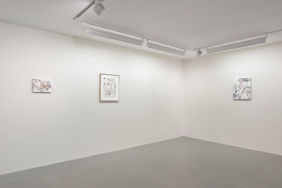 Elizabeth Peyton, Elizabeth Peyton at Sadie Coles, photo 5