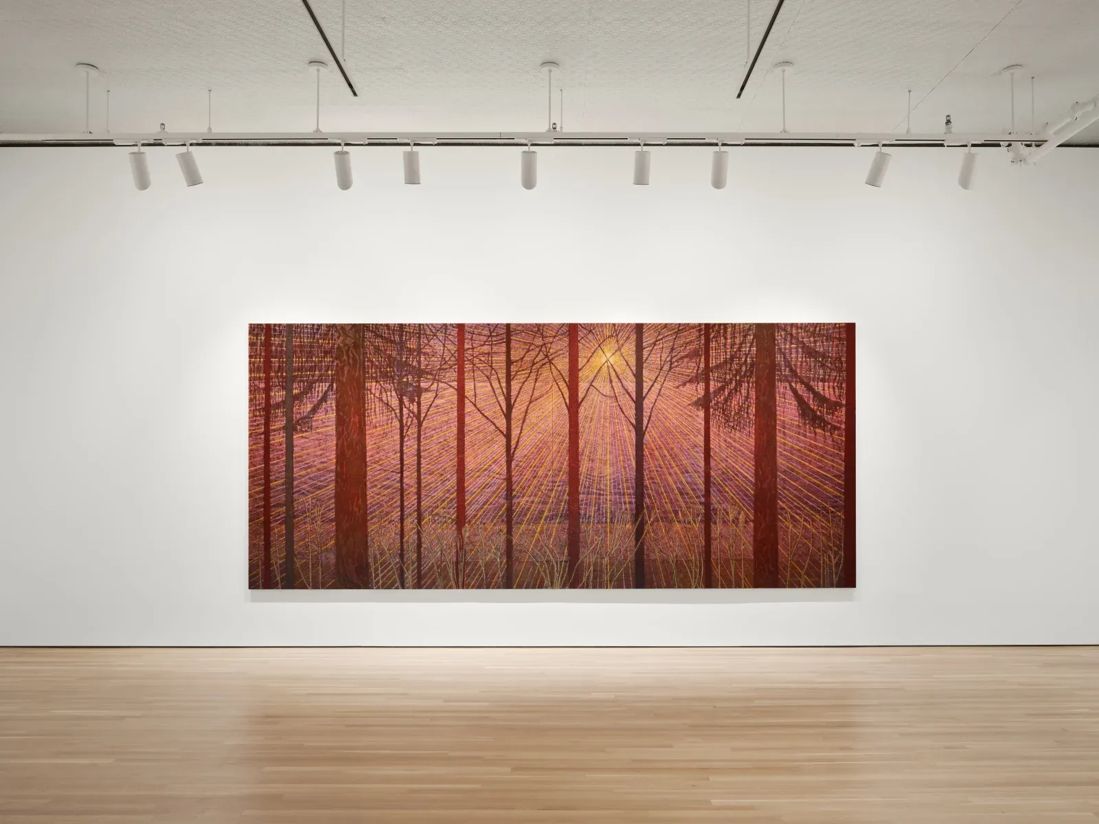 Sky Glabush, The Letters of This Alphabet Were Trees at Stephen Friedman, photo 3
