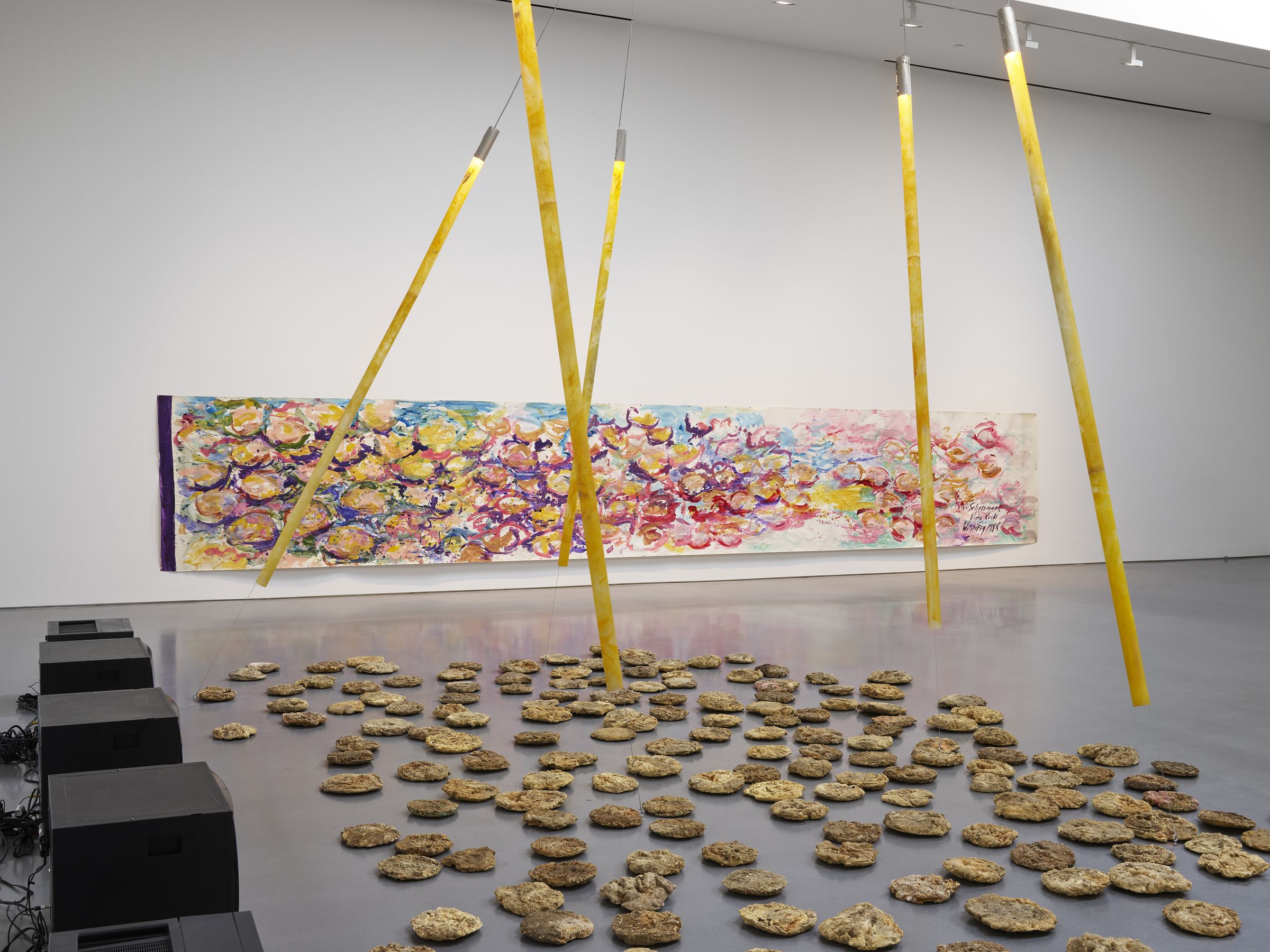 Carolee Schneemann, Carolee Schneemann at Lisson, photo 2