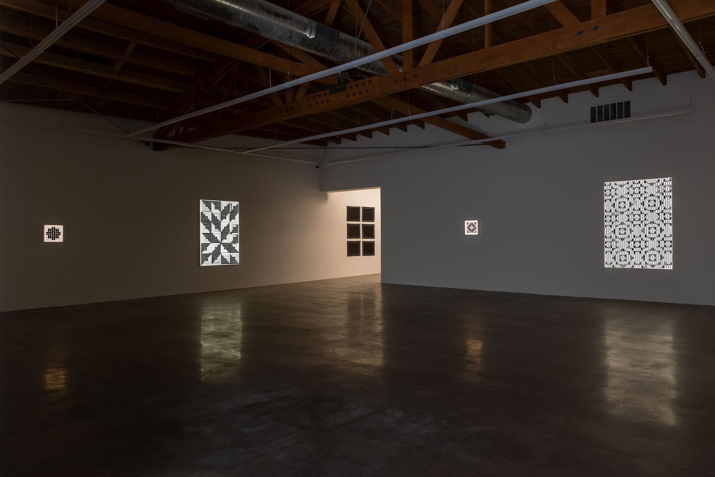 Sabrina Gschwandtner, Scarce Material at Shoshana Wayne, photo 2