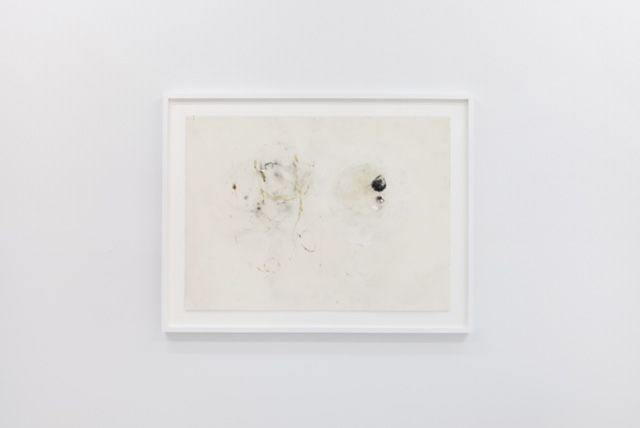 Linda Matalon, image 5 of 5