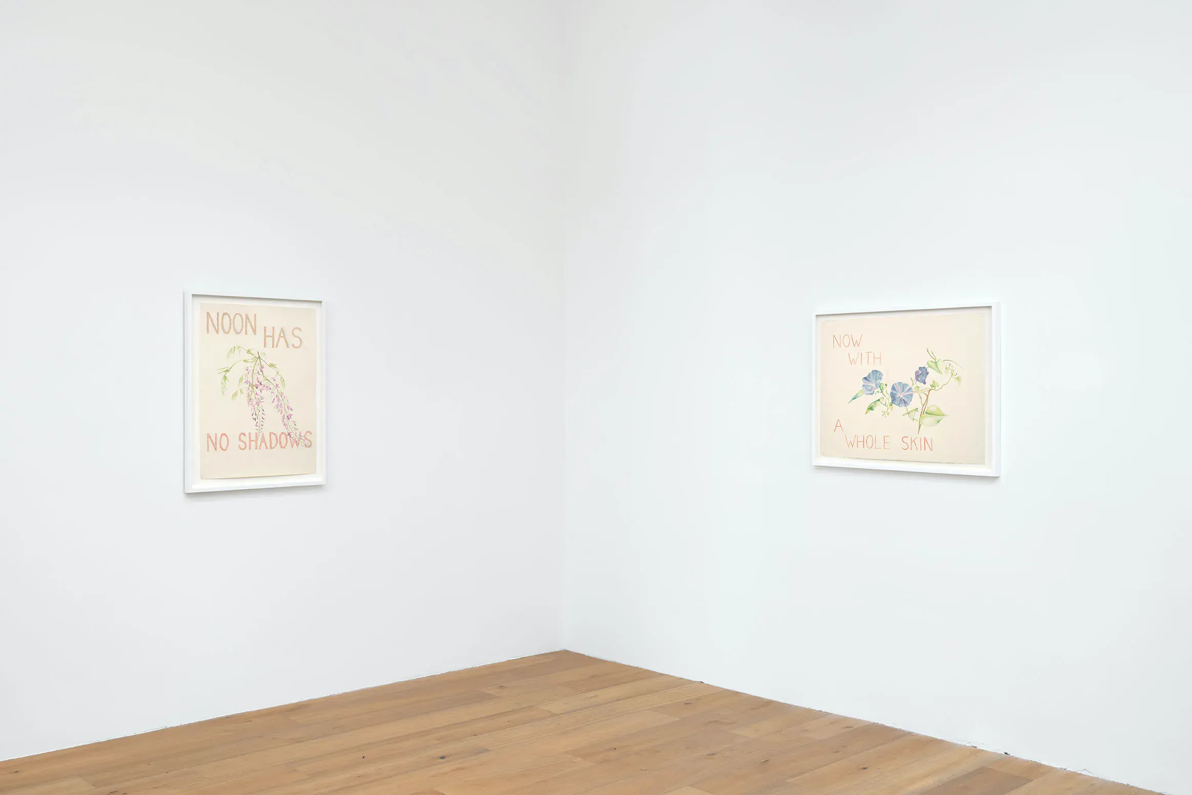Rosemary Mayer, Noon Has No Shadows at Hannah Hoffman, photo 10