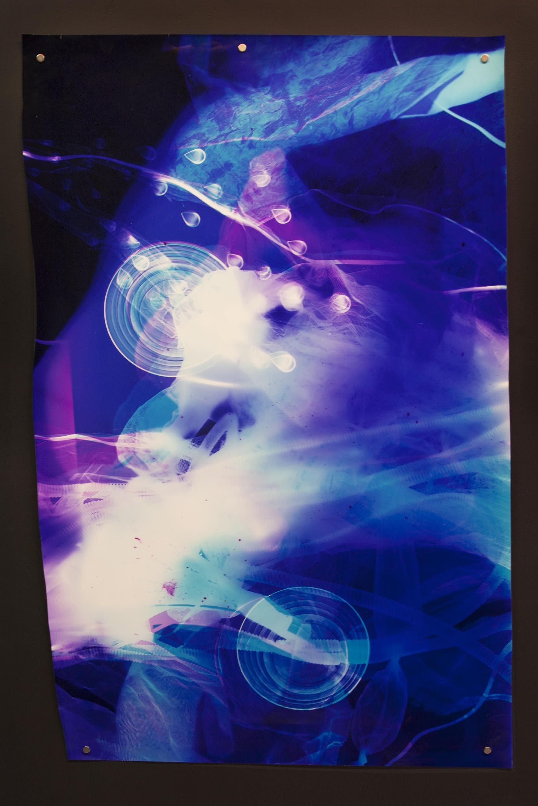 Tatiana Kronberg, Exposure at Essex Flowers, photo 3