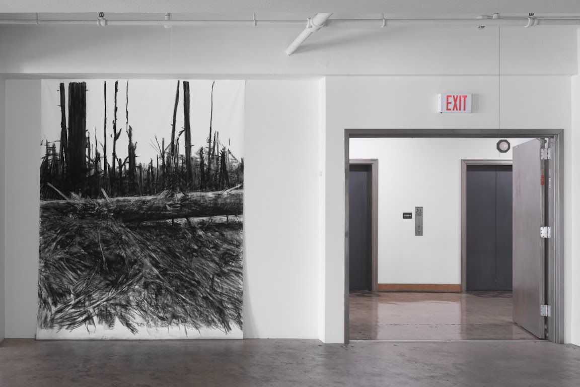 Haley Mellin, Conservation Imperatives at Giovanni's Room, photo 4