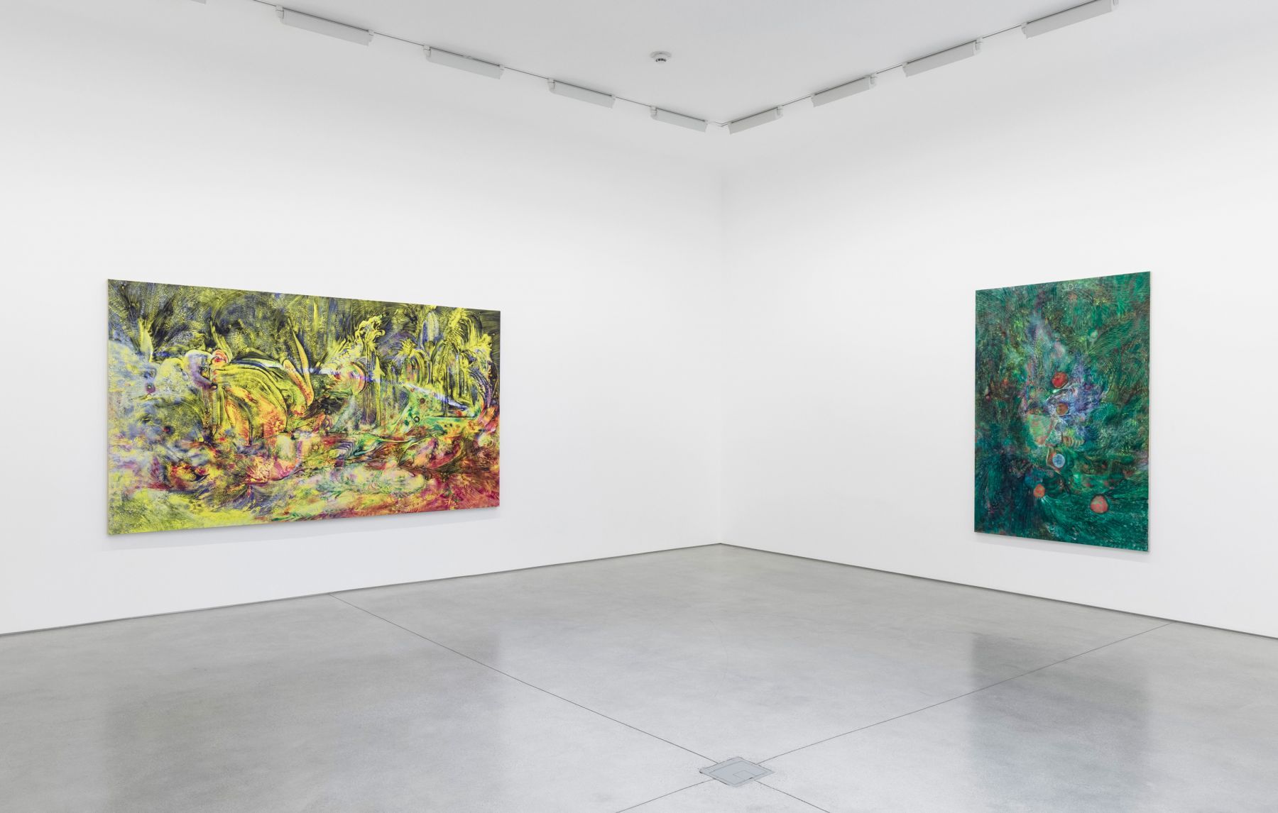 Lucy Bull, Skunk Grove at David Kordansky Gallery, photo 3