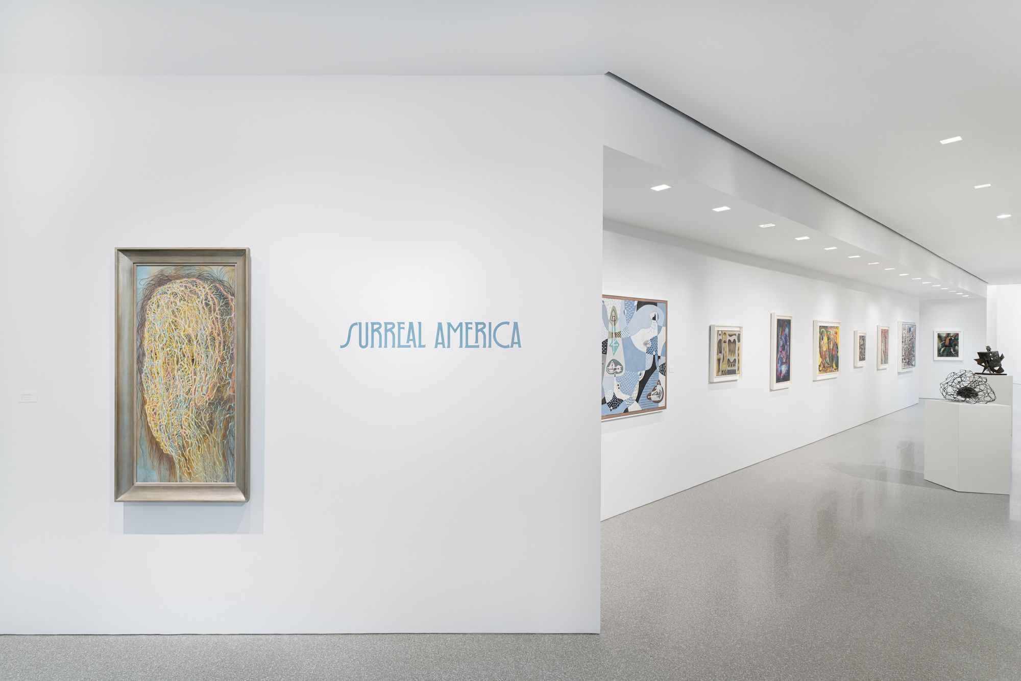 Surreal America, Surreal America at Michael Rosenfeld, photo 16