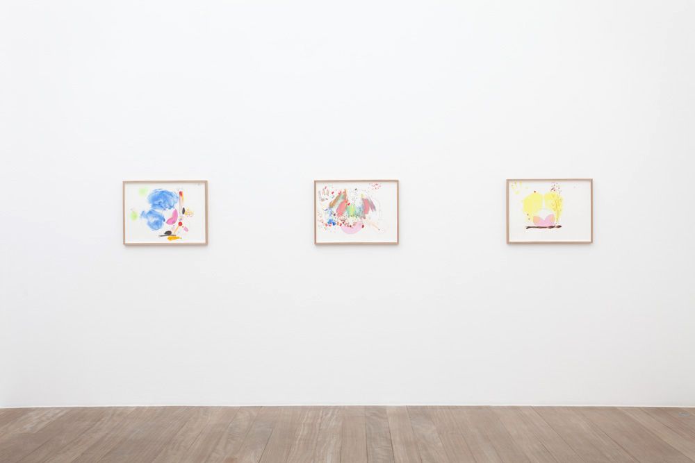 Mika Rottenberg, Mika Rottenberg at Laurent Godin, photo 3