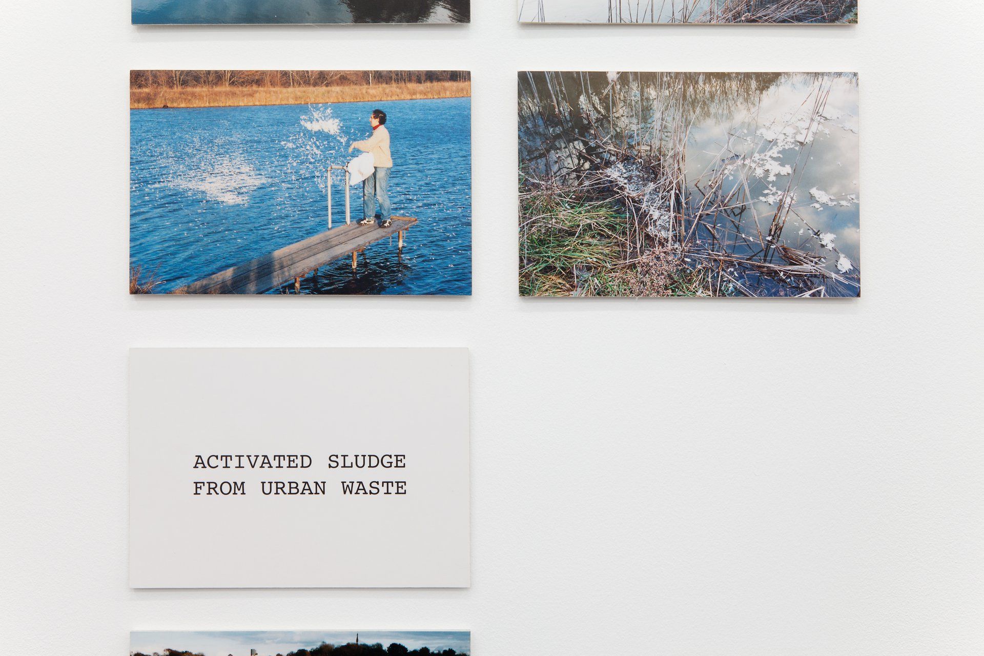 Peter Fend, Birds Reign at Barbara Weiss, photo 5