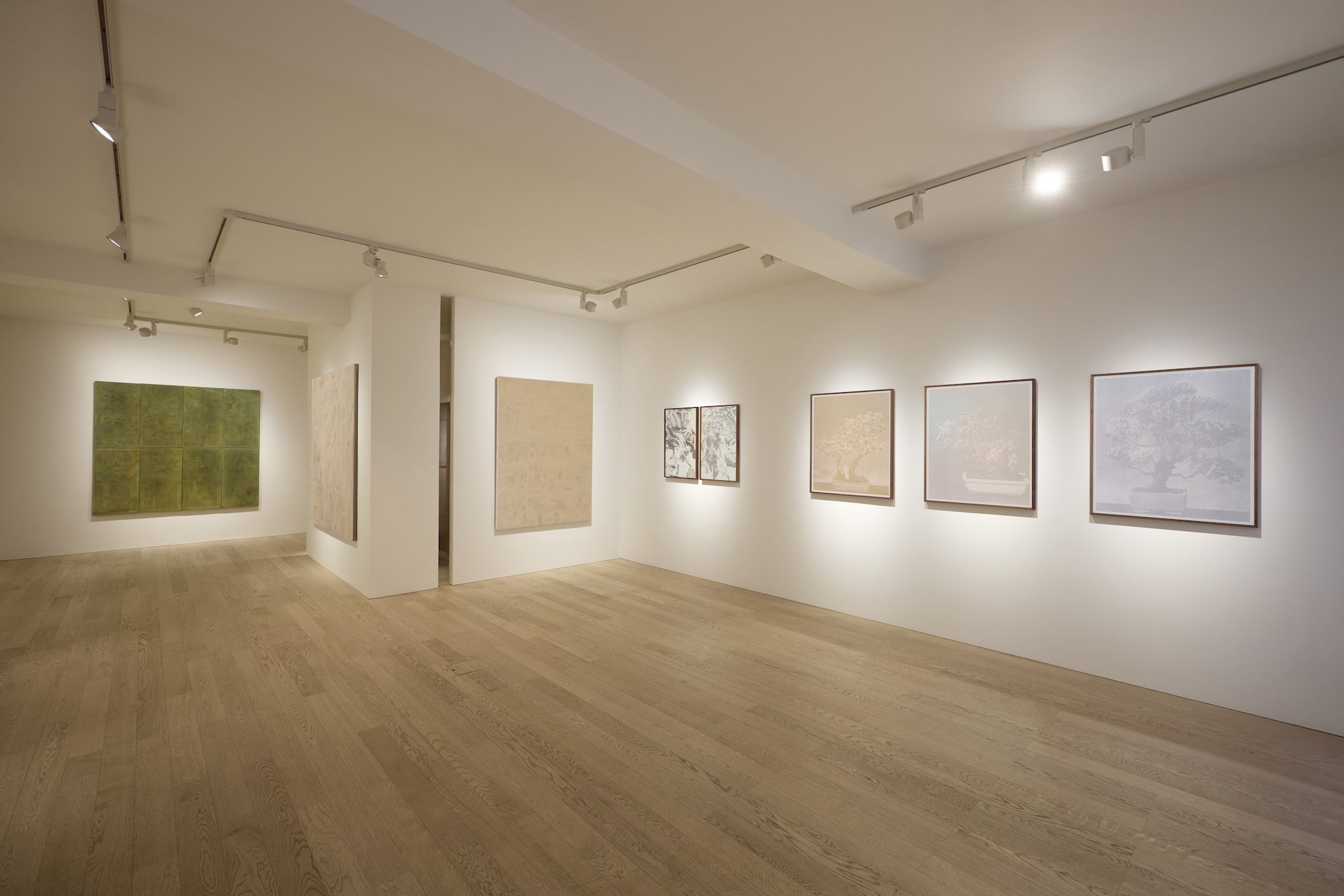Xiaochi Dong & Feiyi Wen, The Garden and the Gaze at Albion Jeune, photo 8