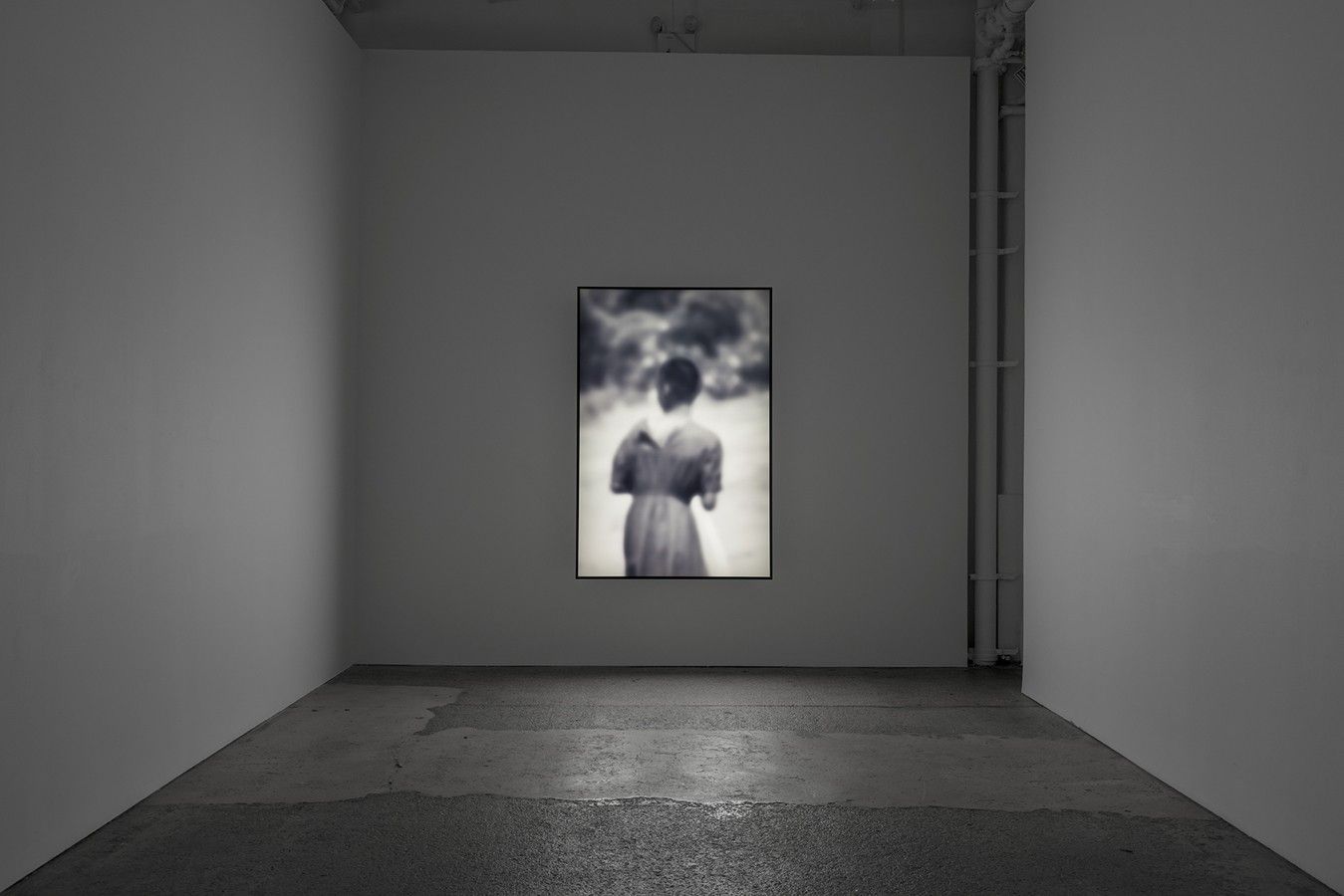 Alfredo Jaar, Shadows at Lelong & Co, photo 4