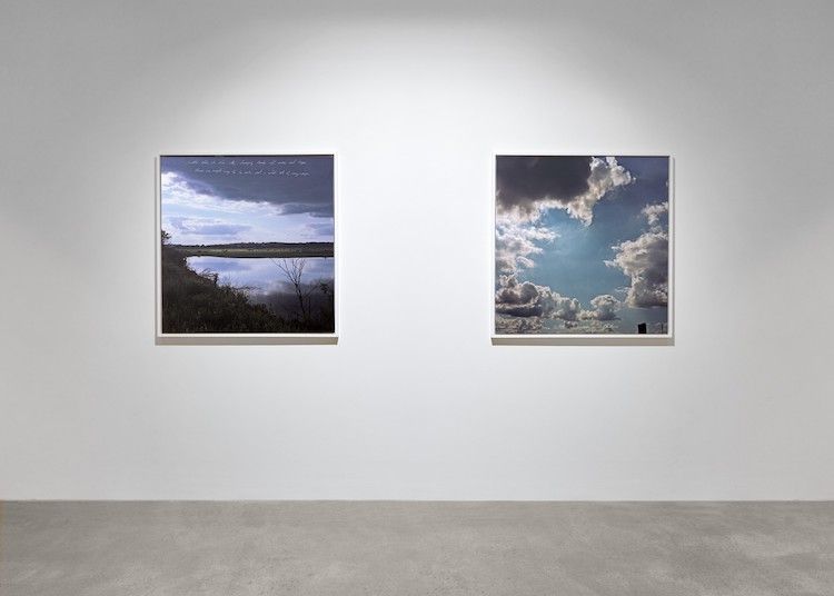 Sky Hopinka, Sunflower Siege Engine at Tanya Leighton, photo 4