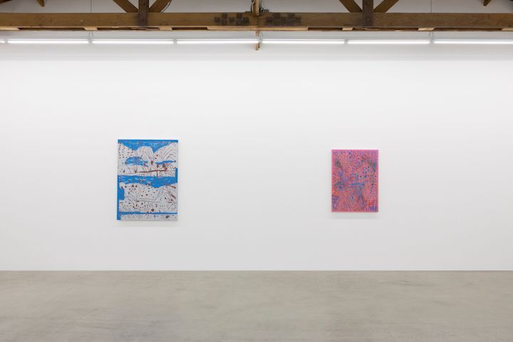 EJ Hauser, Mountains and Peaks at Parrasch Heijnen, photo 2