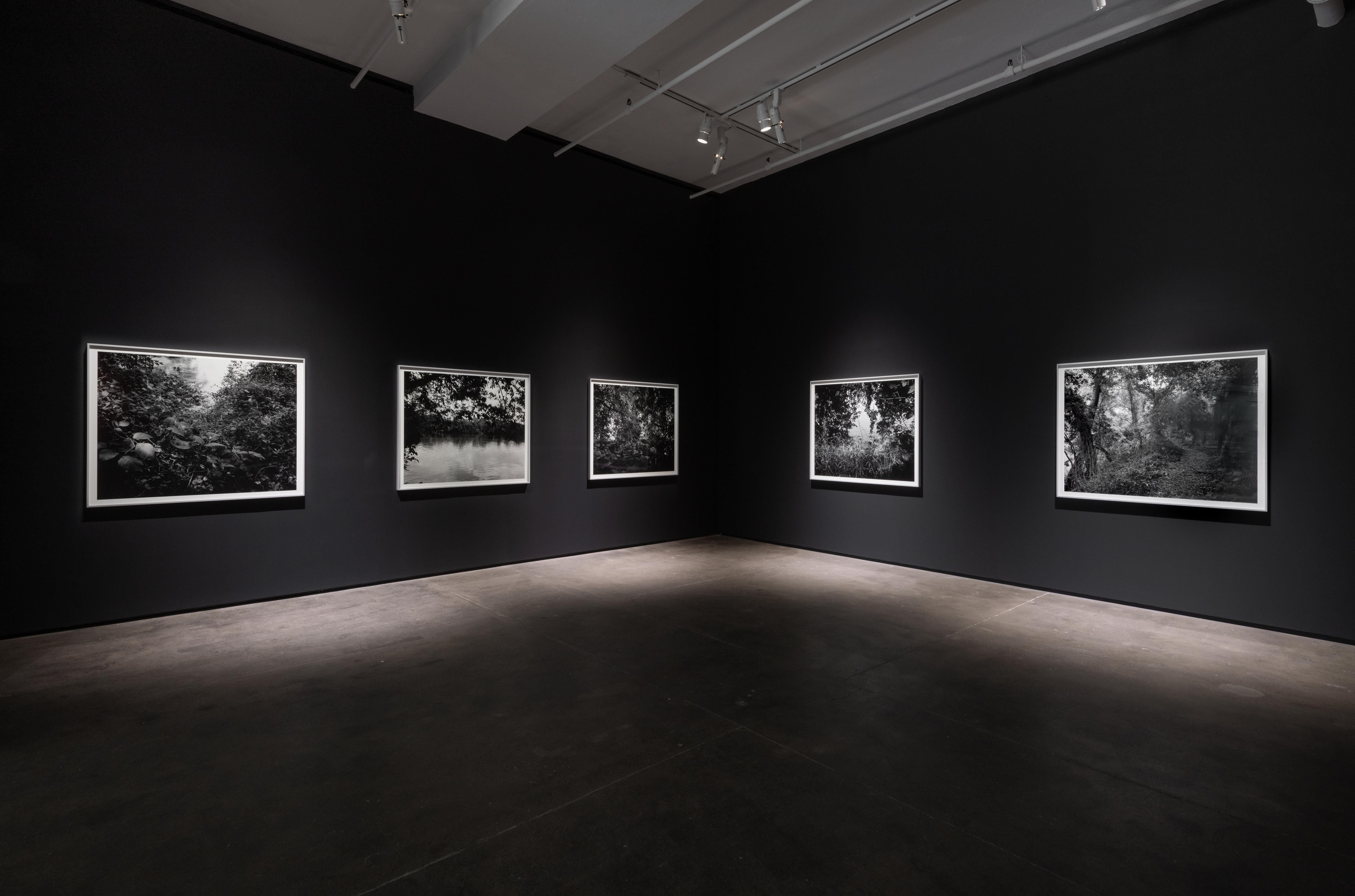 Installation view 4