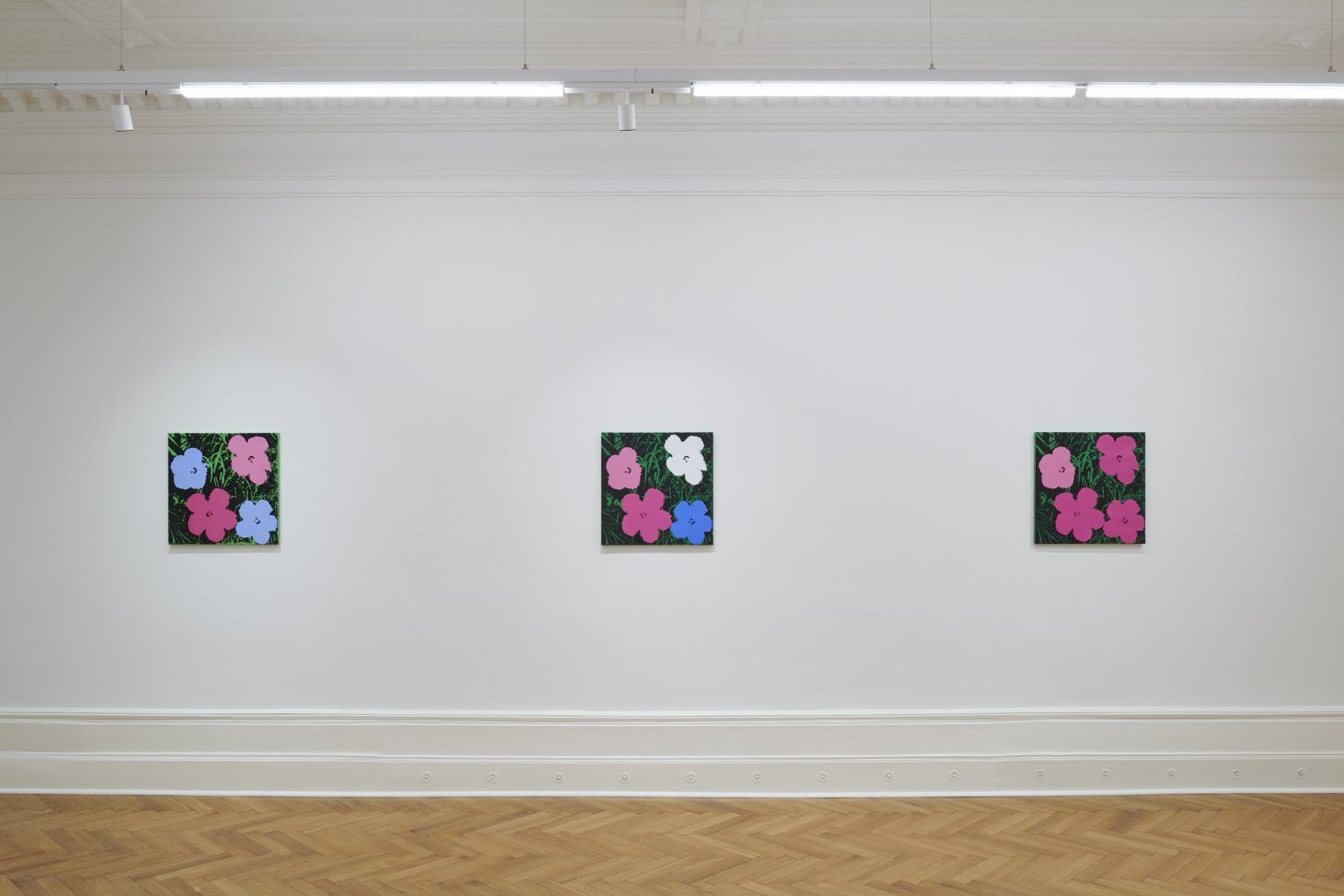 Sturtevant, Sturtevant at Société, photo 2