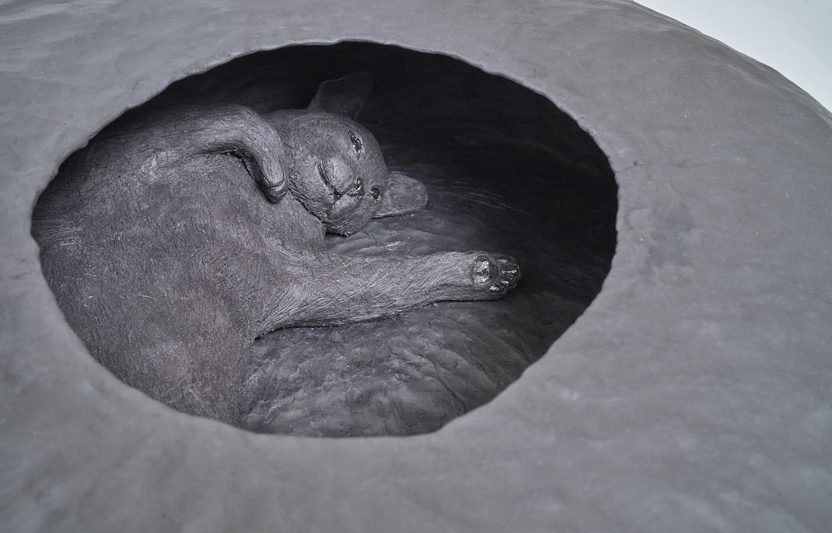 Elizabeth Jaeger, Holes at Jack Hanley, photo 5