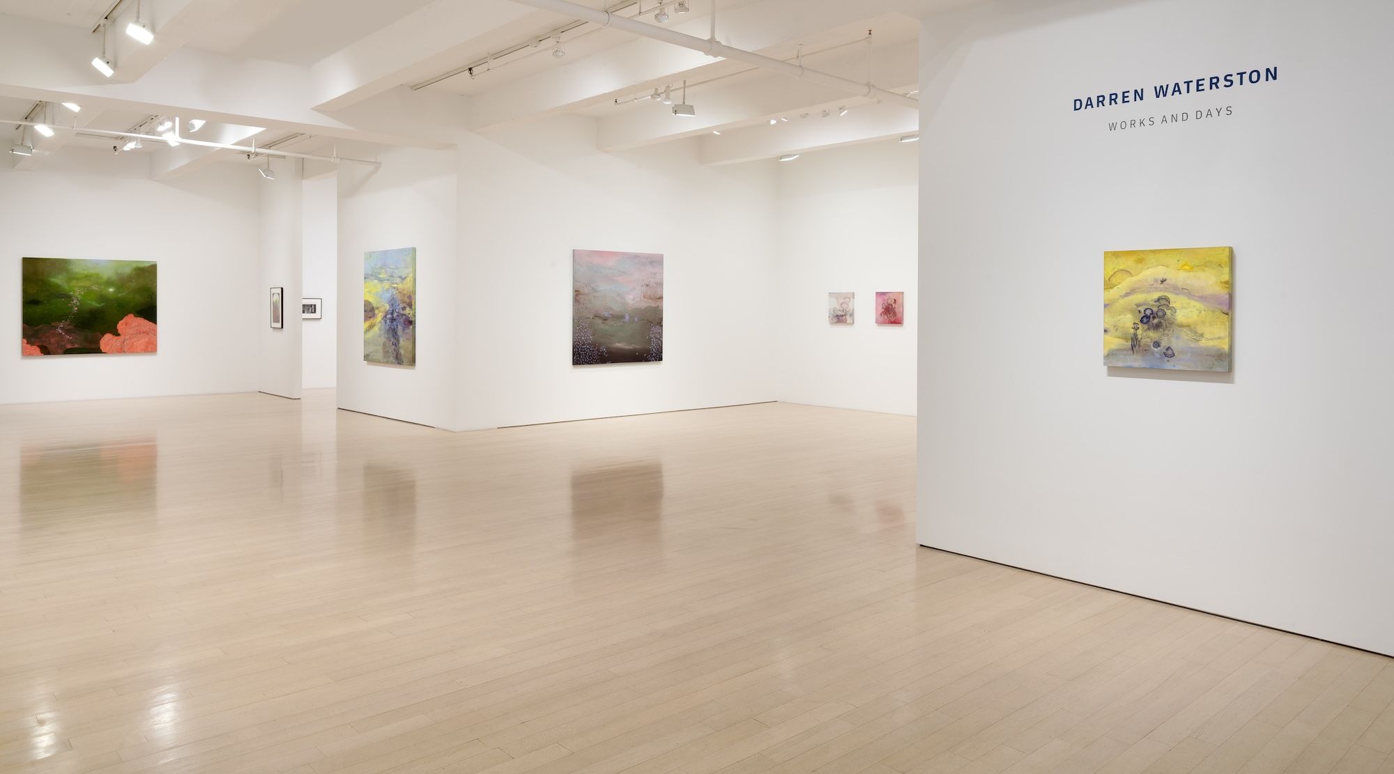 Darren Waterston, Works and Days at DC Moore, photo 4