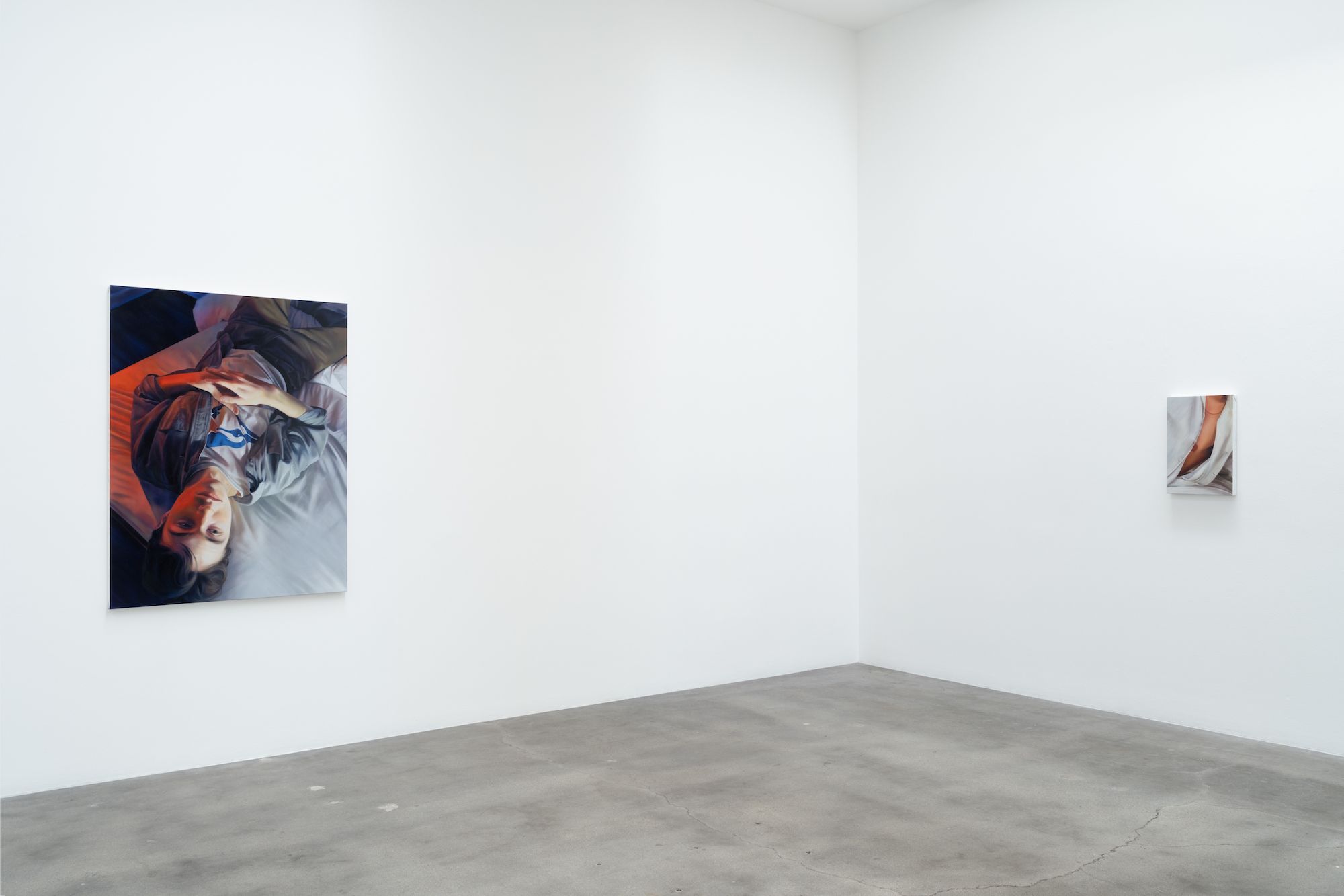 Christopher Hartmann, Nightswimming at Blum & Poe, photo 3