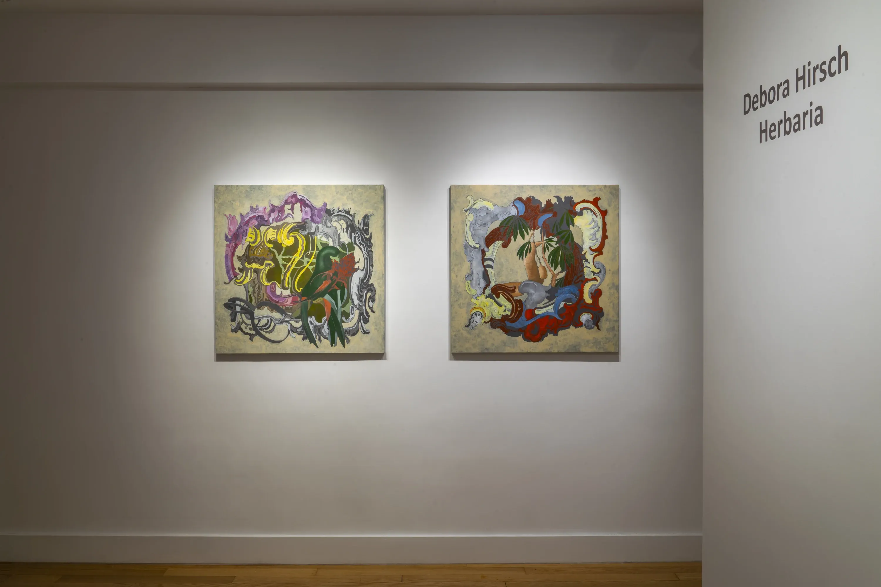 Debora Hirsch, Herbaria at Hutchinson Modern & Contemporary, photo 6