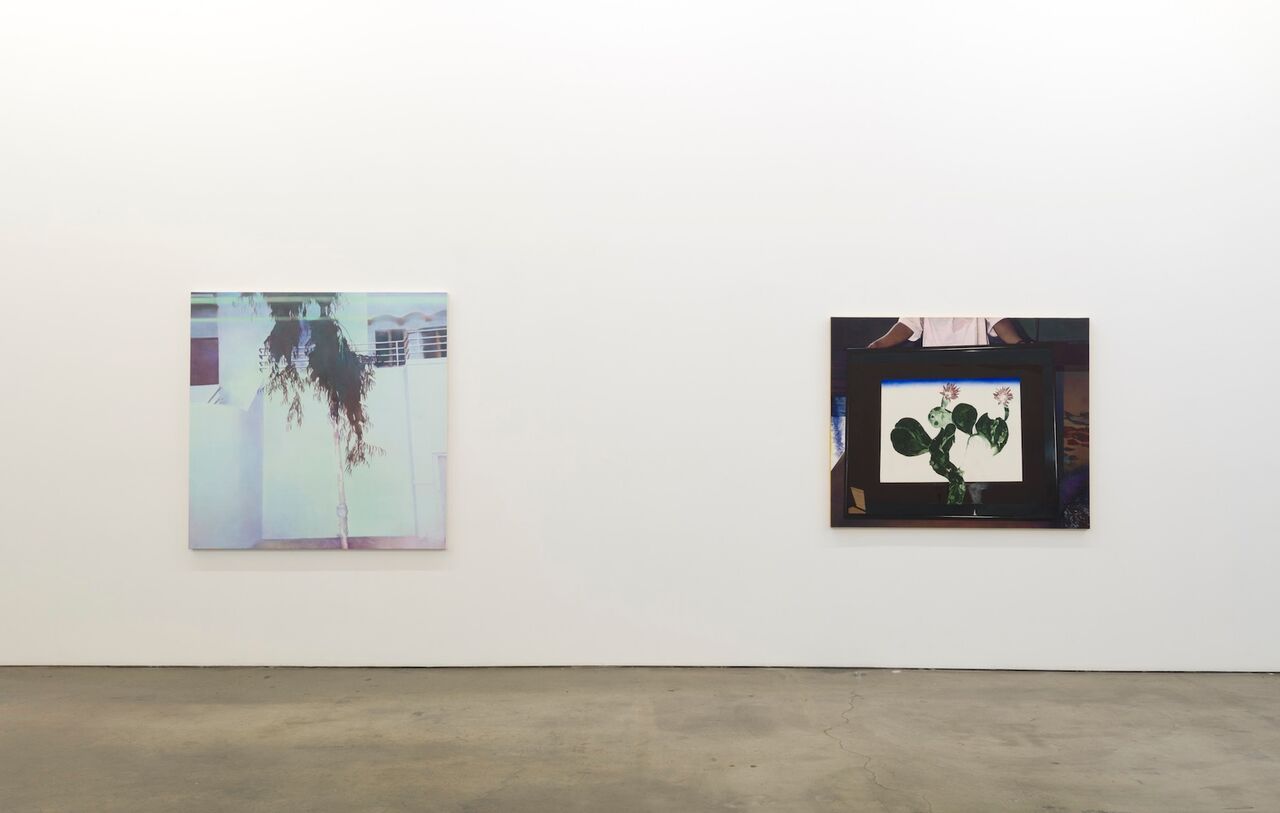 Becca Mann, Protea at François Ghebaly, photo 5