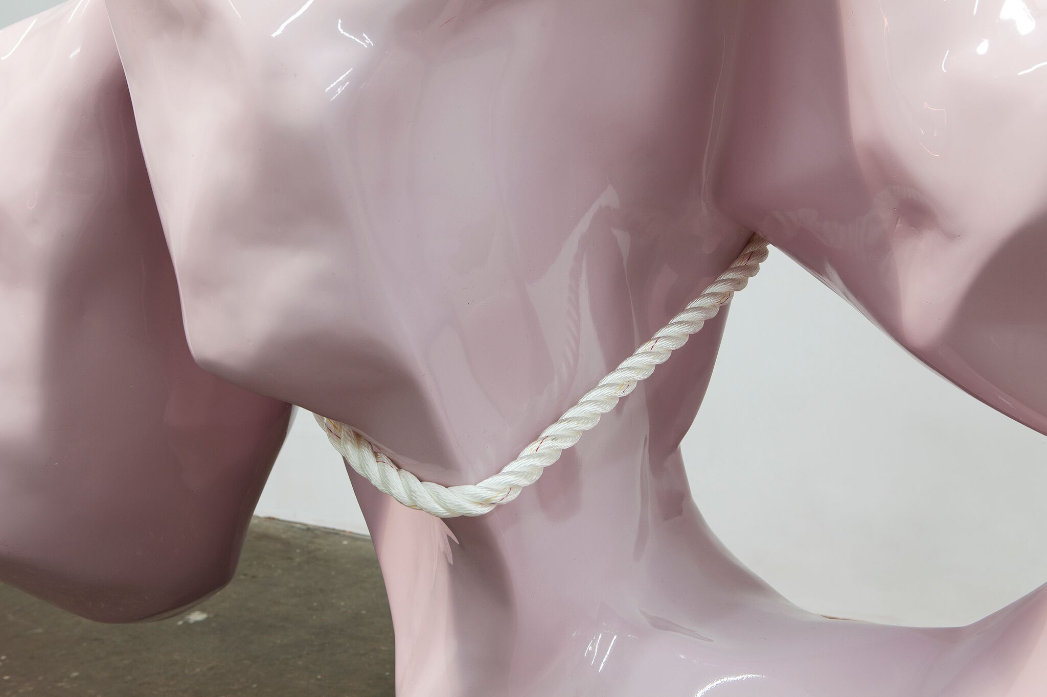 Carol Peligian, Of Body at False Flag, photo 6