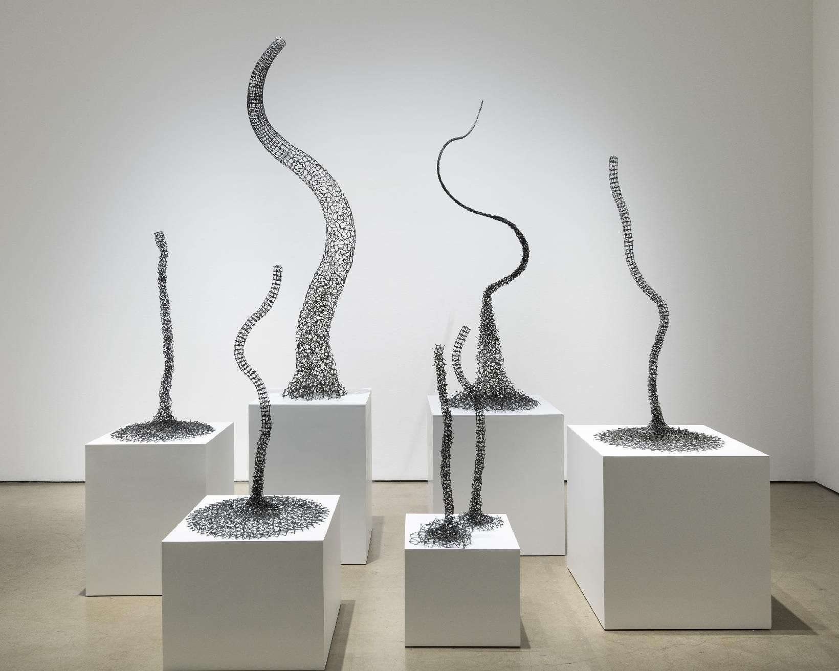 John Pai, image 5 of 9