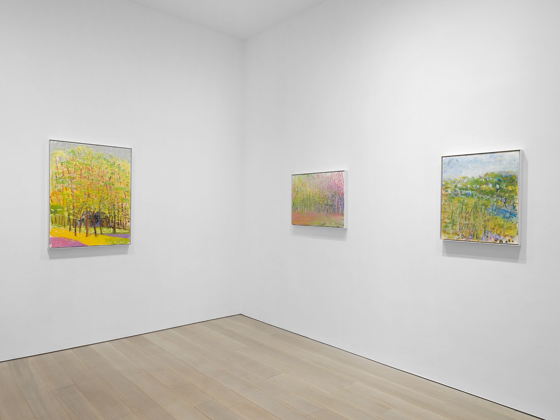 Wolf Kahn, Wolf Kahn at Miles McEnery, photo 5