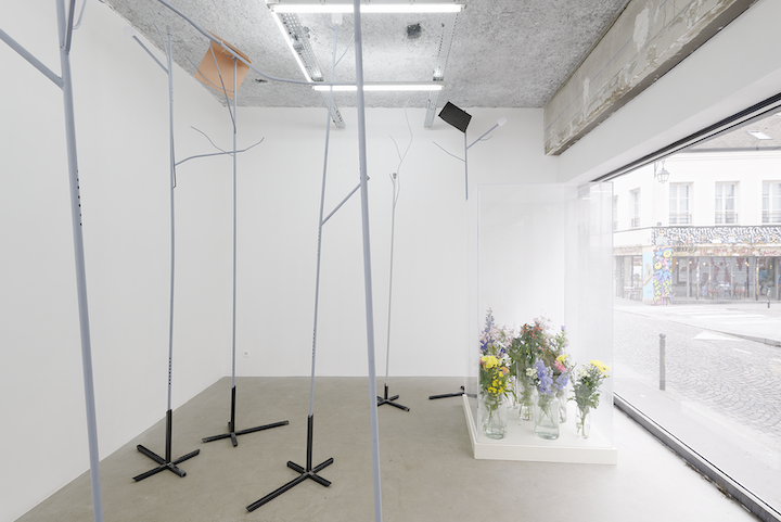 Jesse Darling, Selva Oscura at Sultana, photo 2