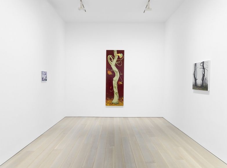Inka Essenhigh, Inka Essenhigh at Miles McEnery, photo 7