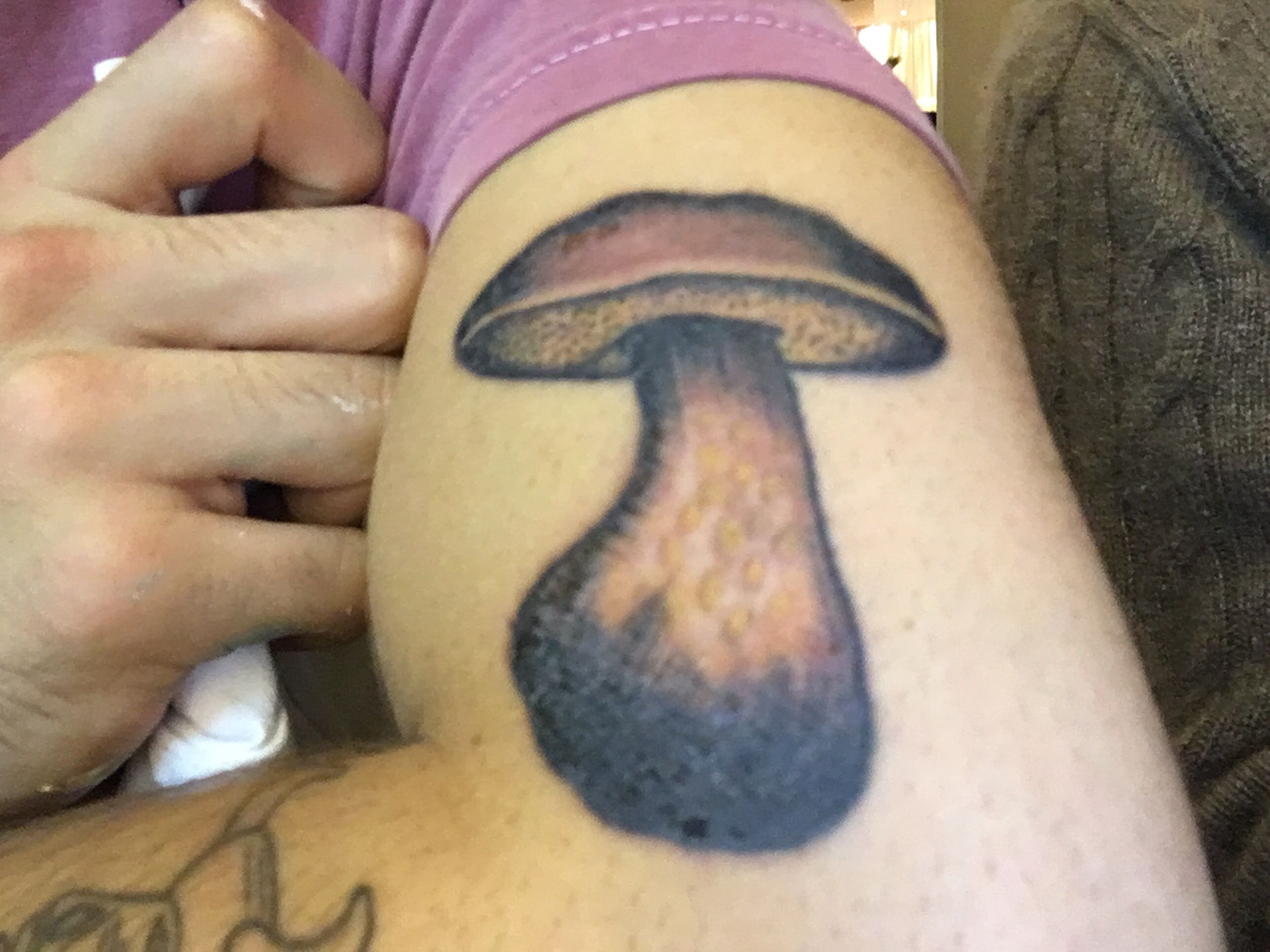 Shroom Show, Shroom Show at Helper, photo 2