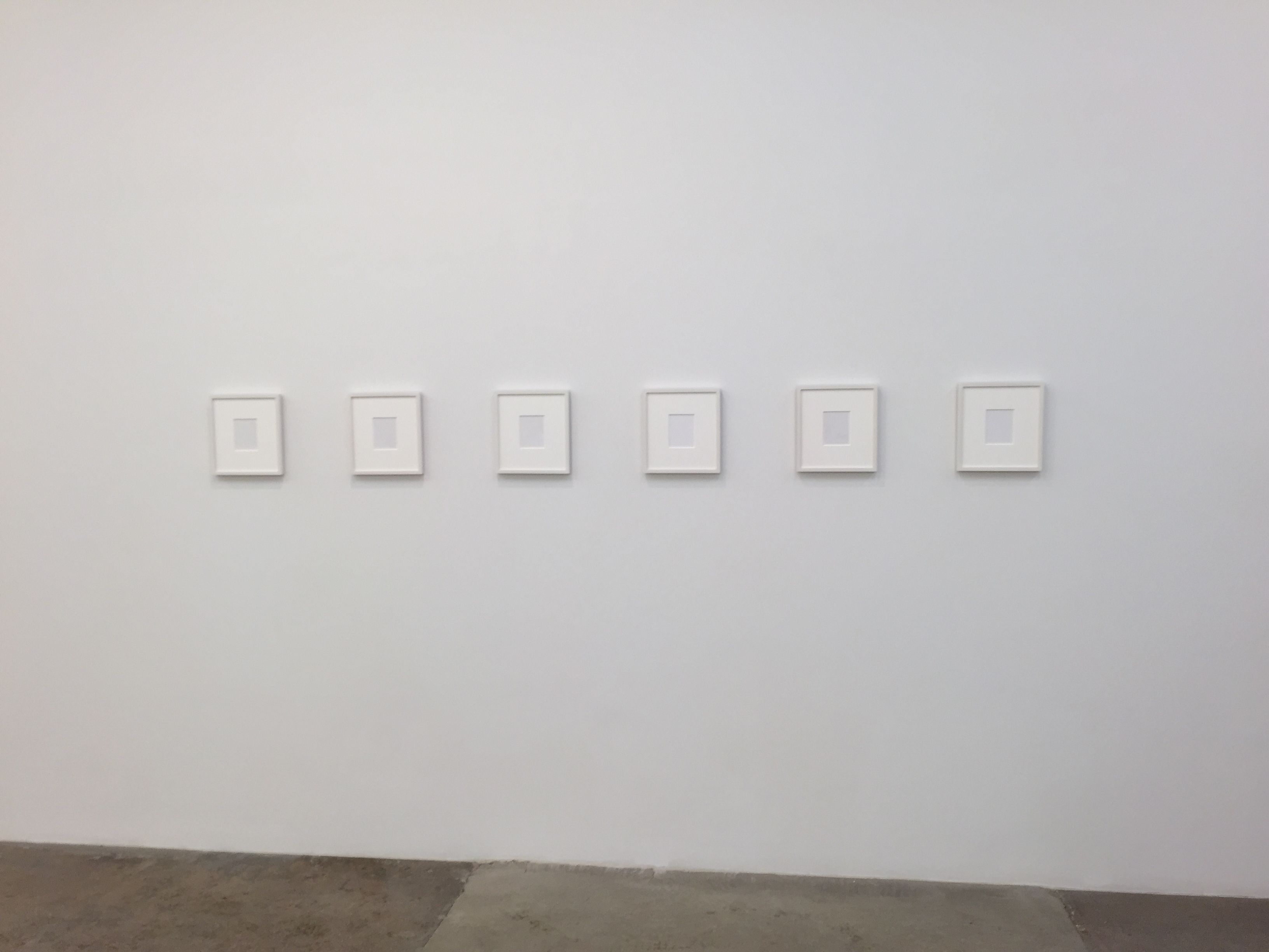 Cheyney Thompson, Birdwings and Chambered Shells at Andrew Kreps, photo 6