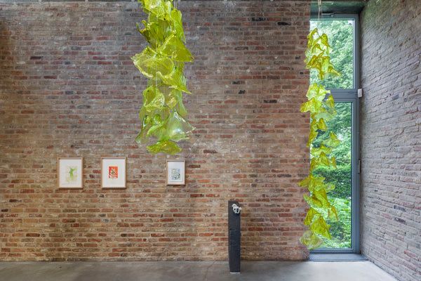 Tue Greenfort, Wunderkammer at König Galerie, photo 2