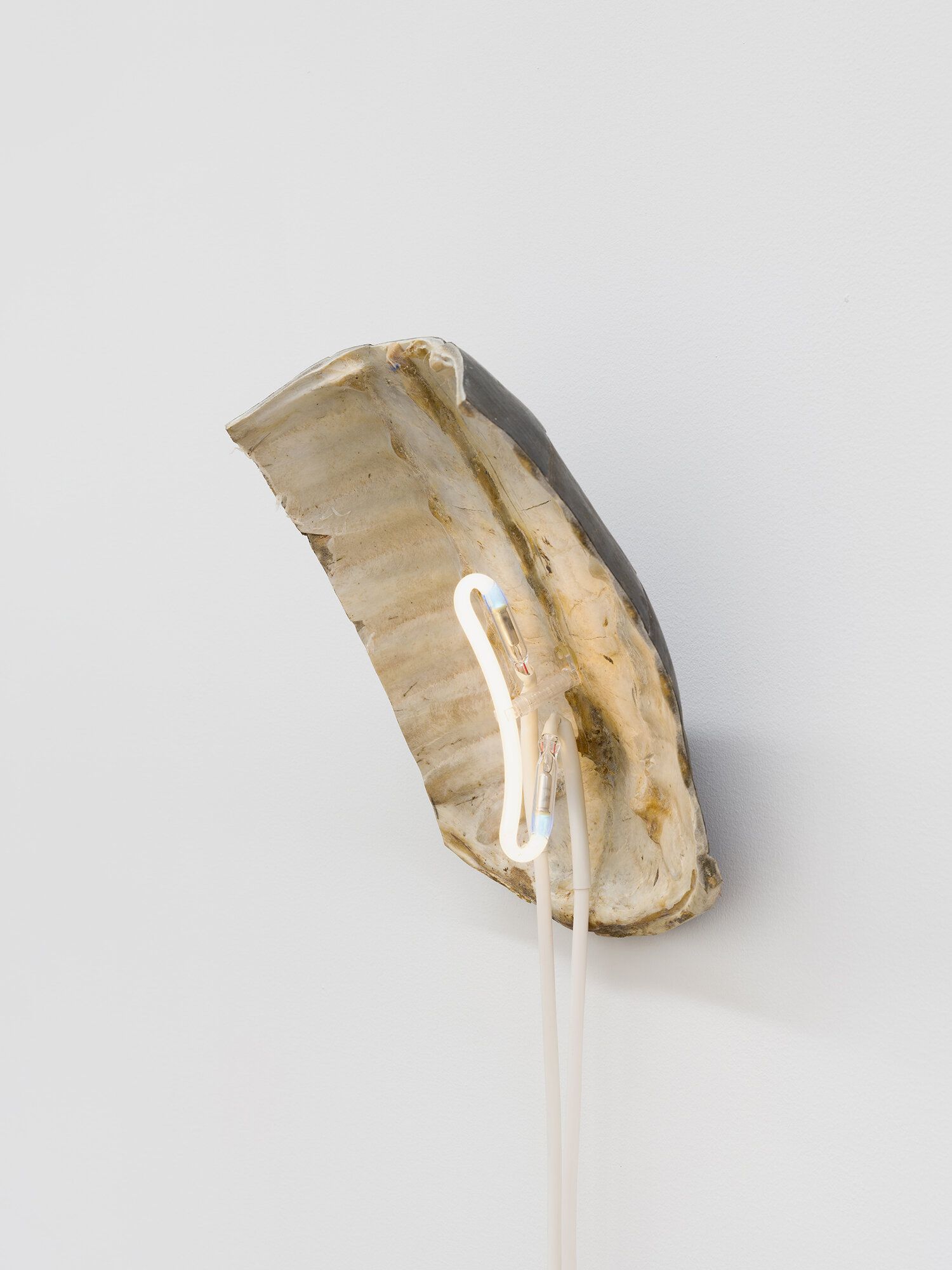 Sean Donovan, Recent Work at M 2 3, photo 4