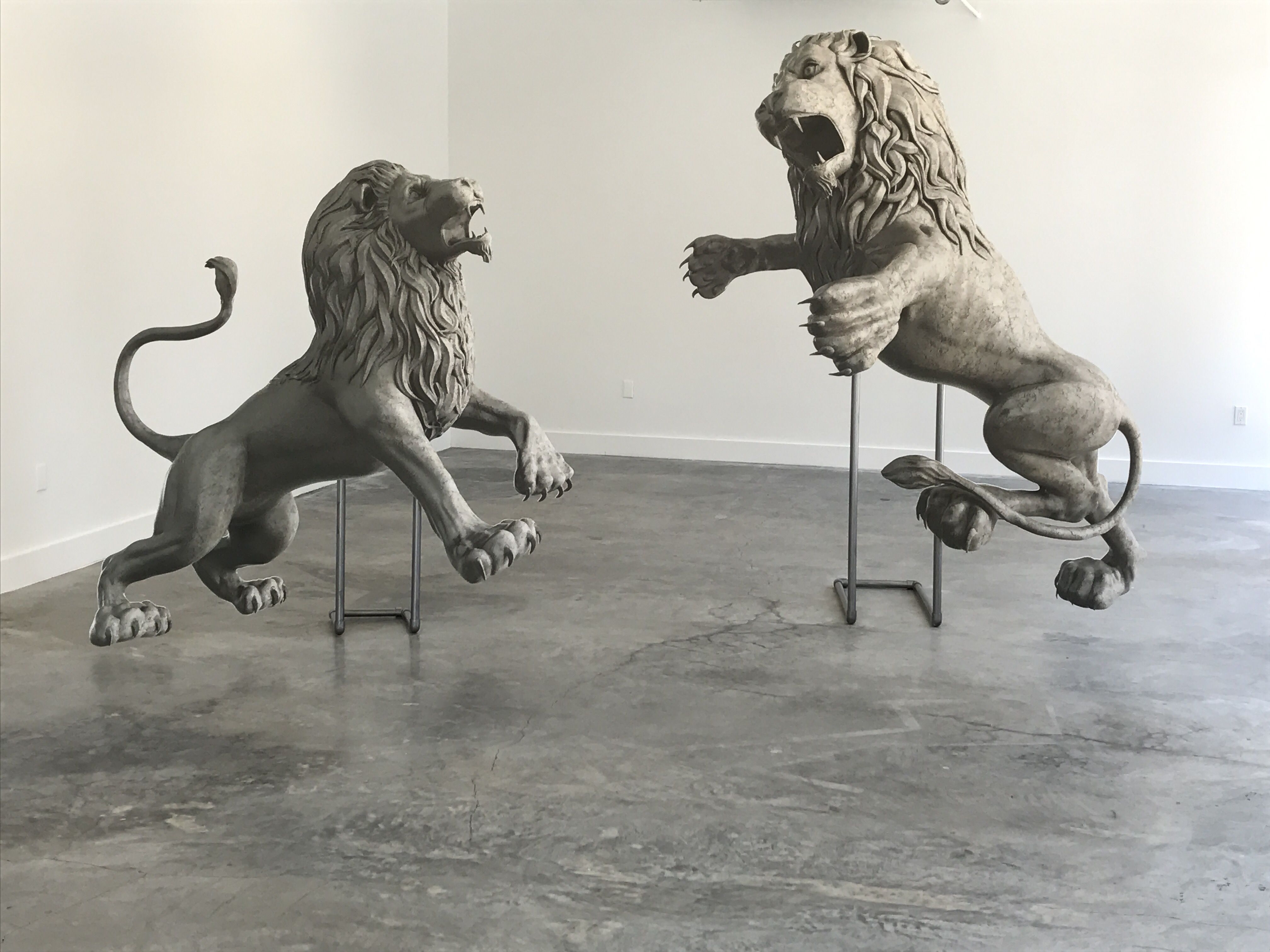 Zuzanna Czebatul, Wild Awake at 83 Pitt St, photo 2