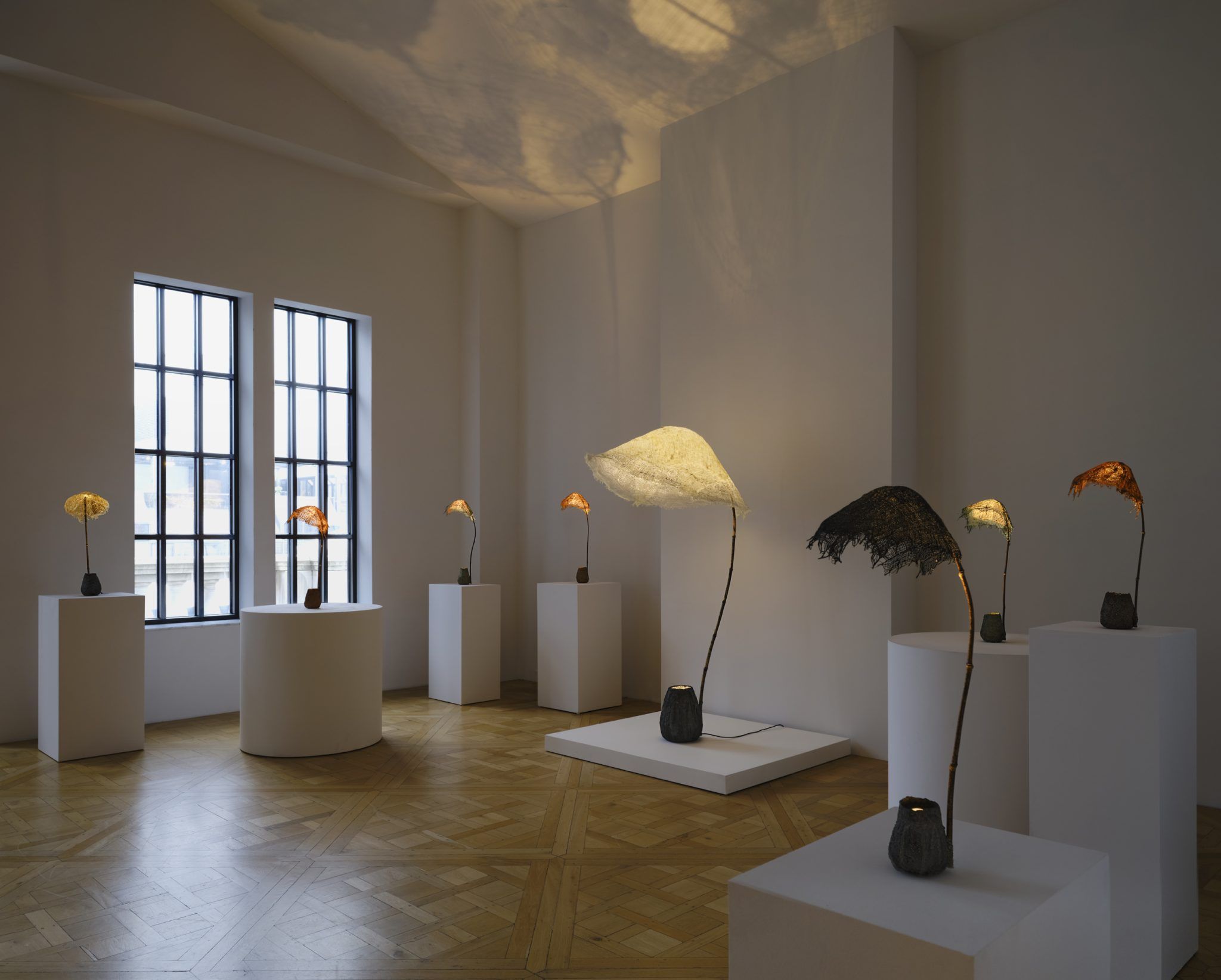 Aki & Arnaud Cooren, image 2 of 3