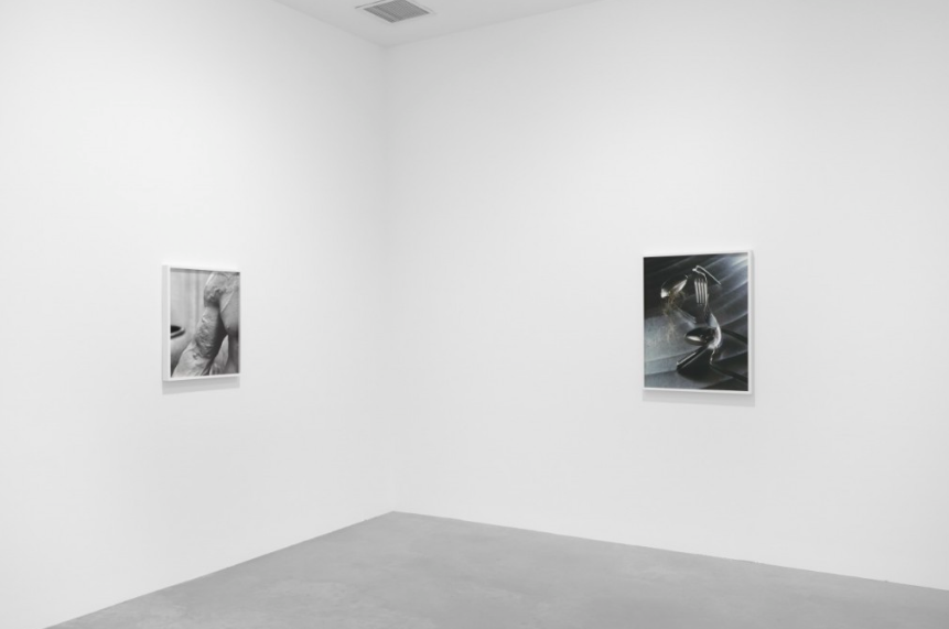 Torbjørn Rødland, Corpus Dubium at Algus Greenspon, photo 5