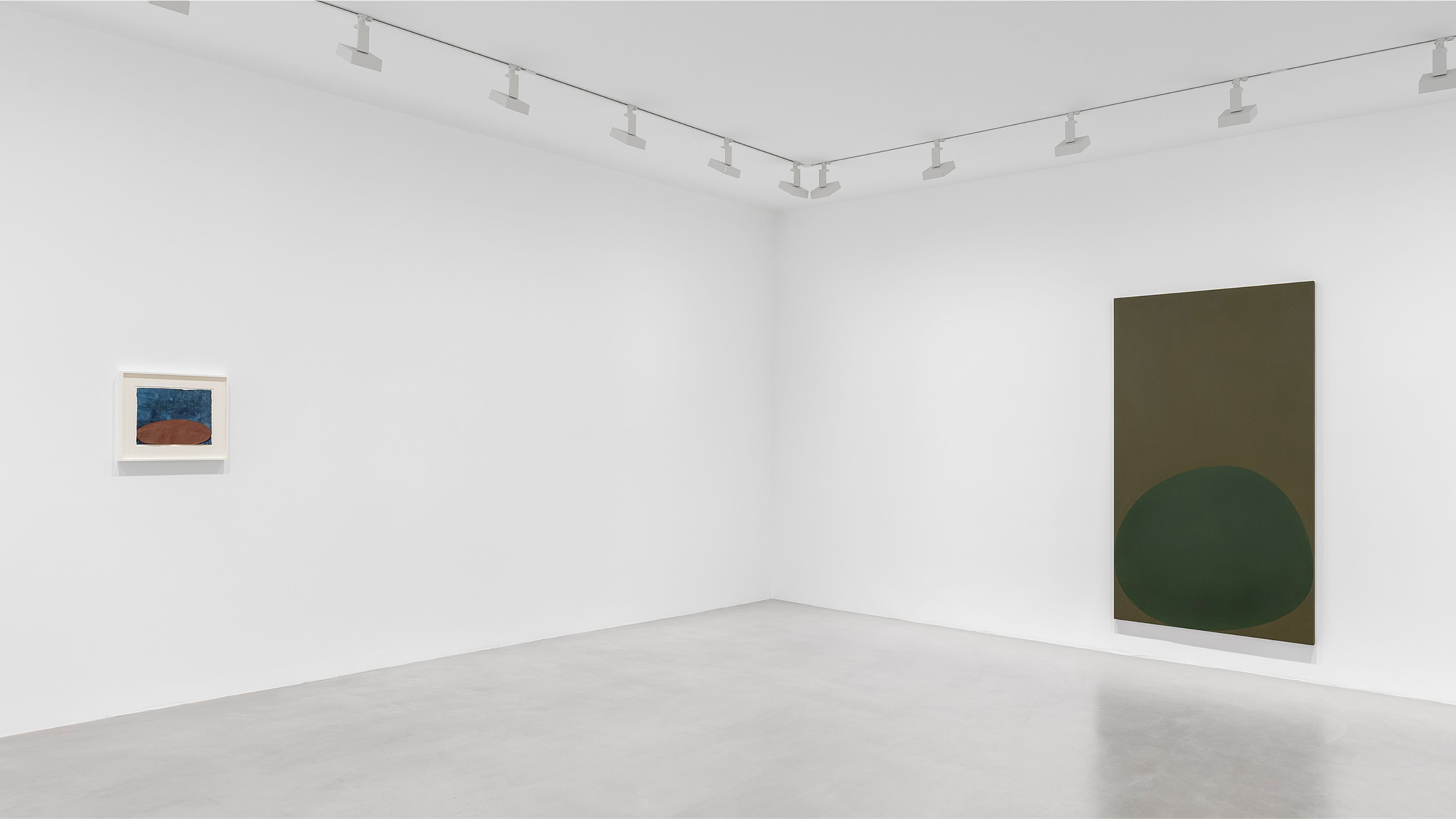 Suzan Frecon, The Light Factory at David Zwirner, photo 3